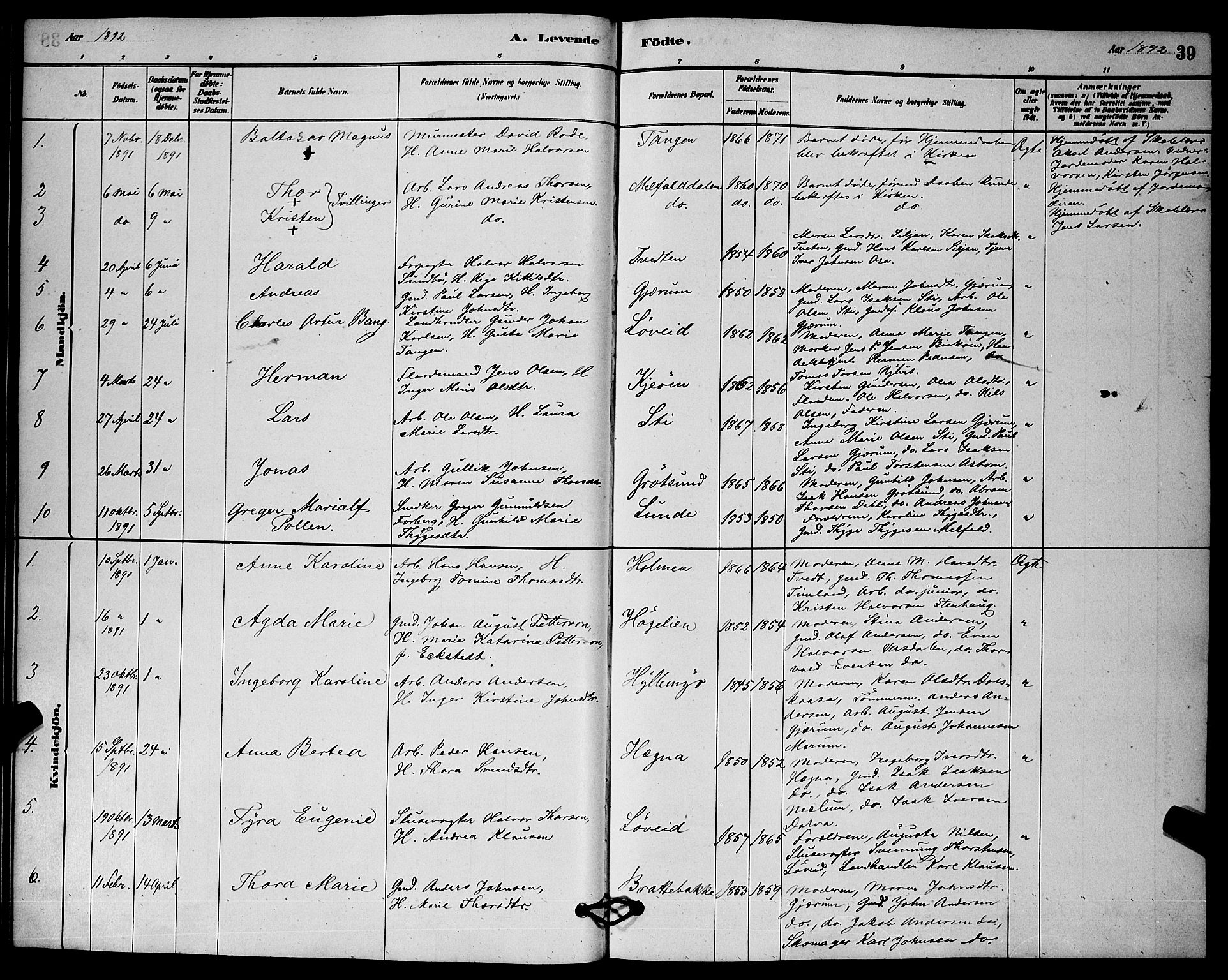 Solum kirkebøker, SAKO/A-306/G/Gb/L0003: Parish register (copy) no. II 3, 1880-1898, p. 39
