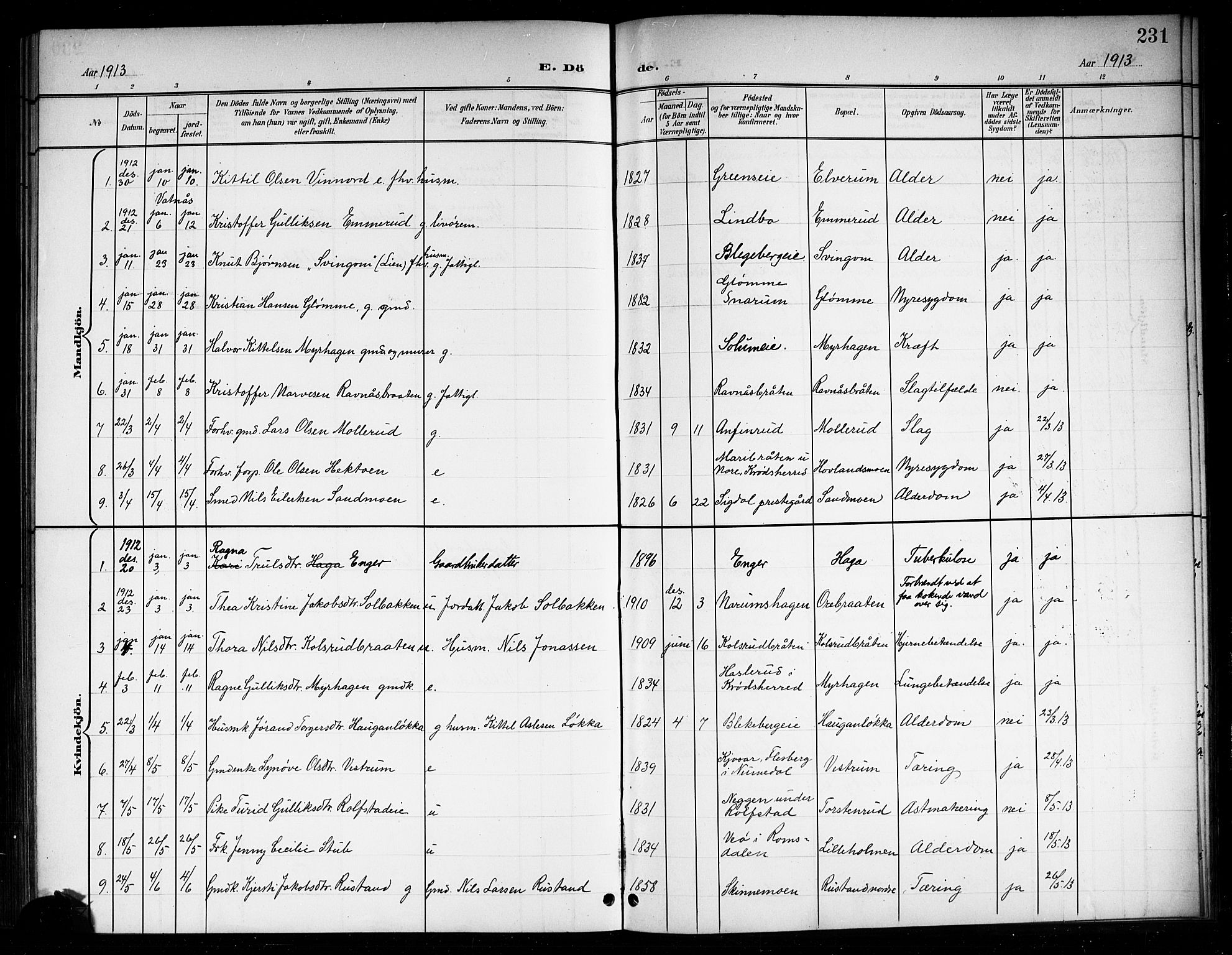 Sigdal kirkebøker, SAKO/A-245/G/Ga/L0006: Parish register (copy) no. I 6, 1901-1916, p. 231