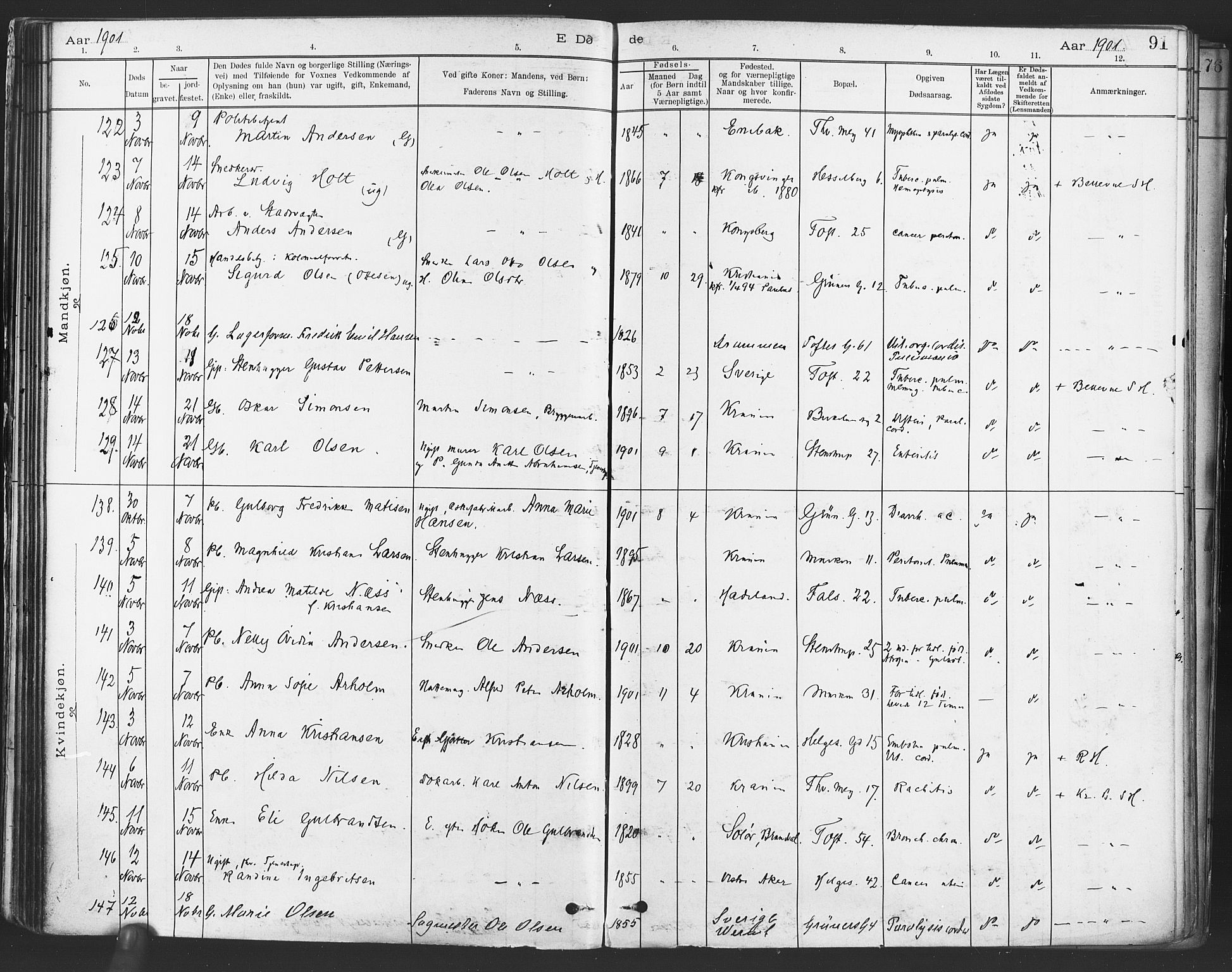 Paulus prestekontor Kirkebøker, AV/SAO-A-10871/F/Fa/L0012: Parish register (official) no. 12, 1897-1908, p. 91