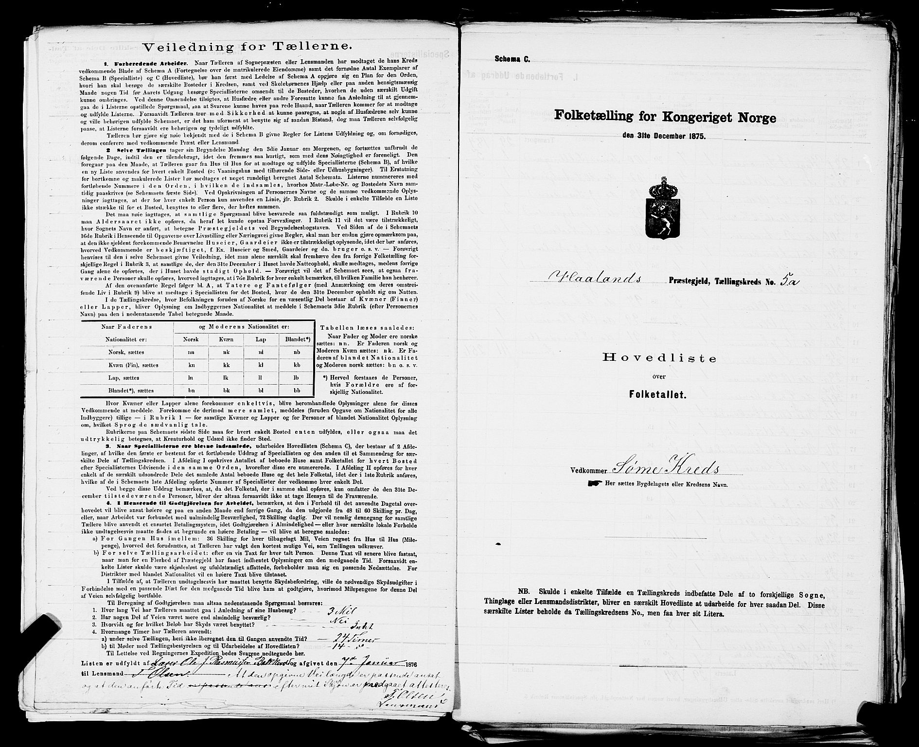 SAST, 1875 census for 1124P Håland, 1875, p. 20