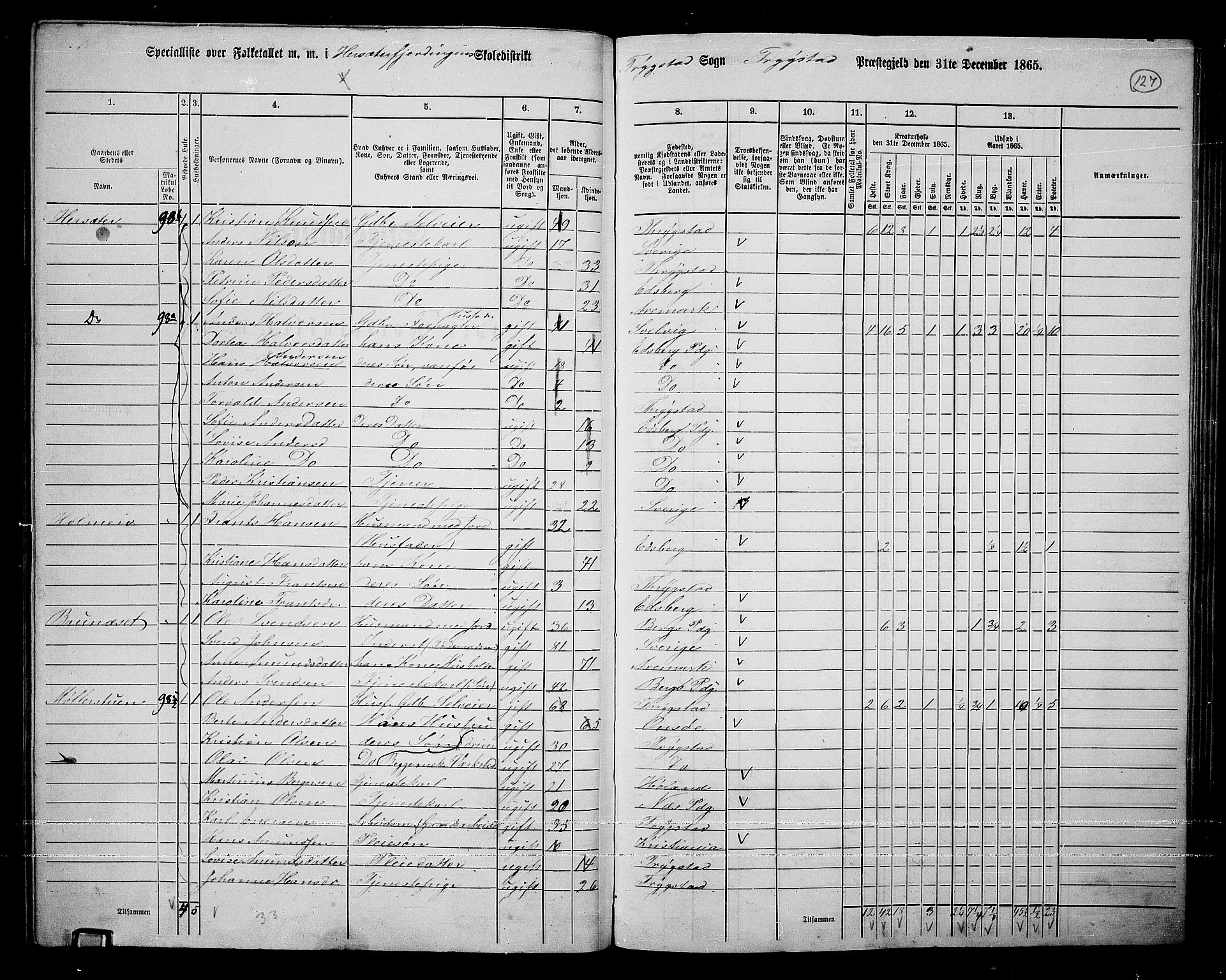 RA, 1865 census for Trøgstad, 1865, p. 111