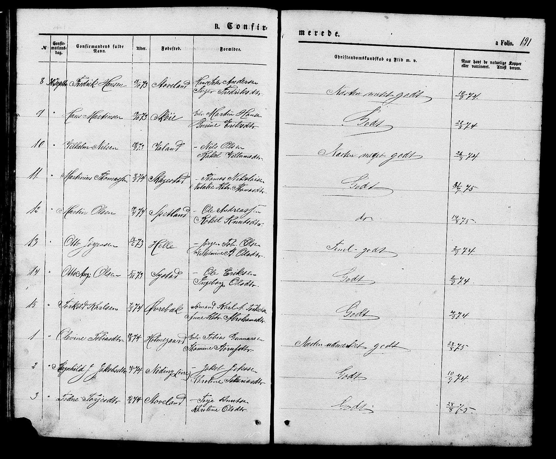 Holum sokneprestkontor, SAK/1111-0022/F/Fb/Fba/L0004: Parish register (copy) no. B 4, 1867-1890, p. 191
