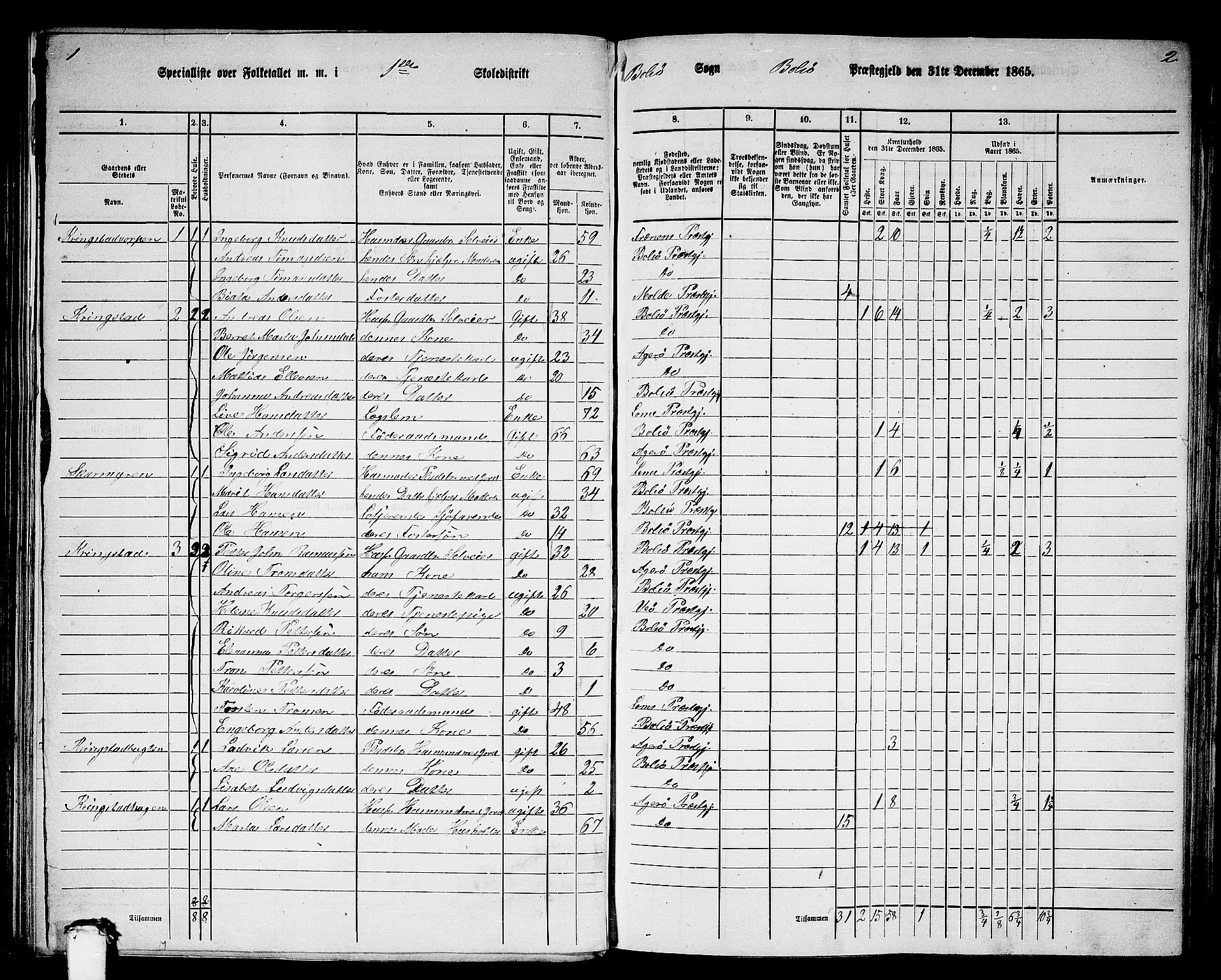 RA, 1865 census for Bolsøy, 1865, p. 8