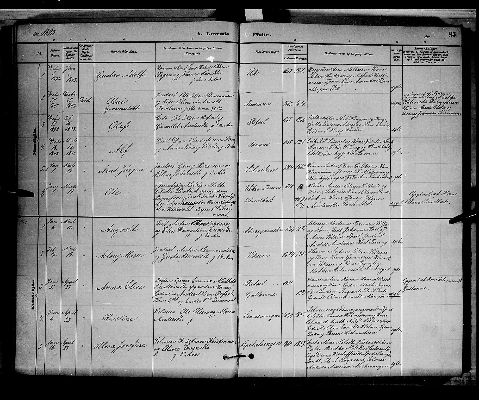 Stange prestekontor, SAH/PREST-002/L/L0008: Parish register (copy) no. 8, 1882-1895, p. 85
