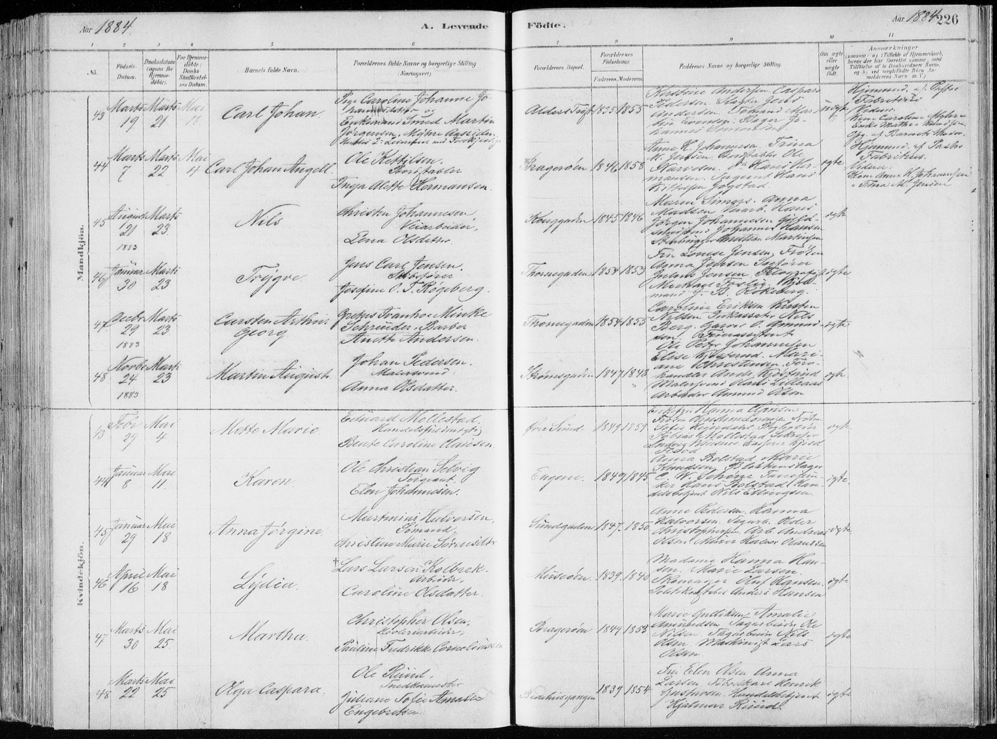 Bragernes kirkebøker, SAKO/A-6/F/Fb/L0006a: Parish register (official) no. II 6A, 1878-1885, p. 226