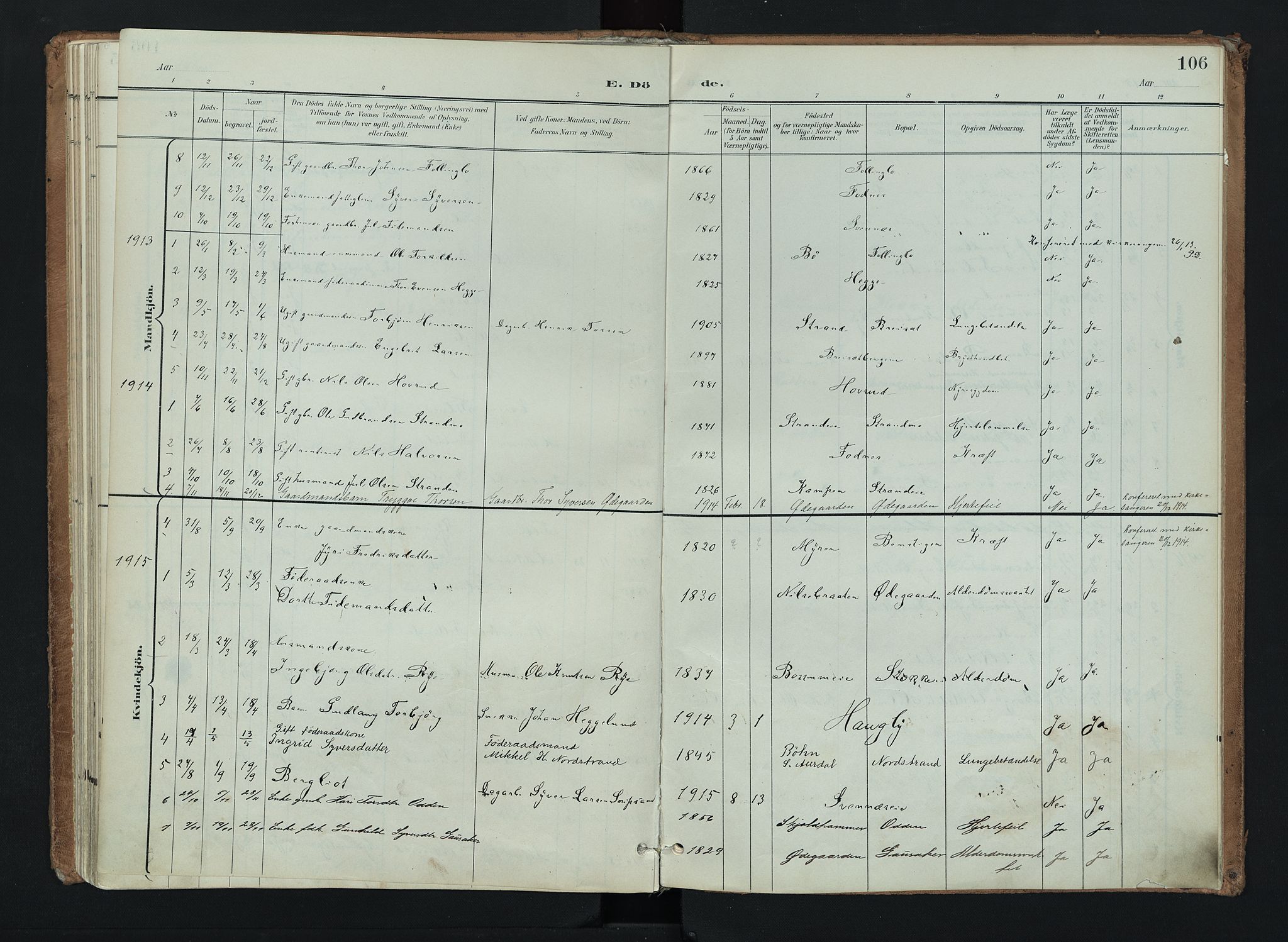 Nord-Aurdal prestekontor, SAH/PREST-132/H/Ha/Haa/L0016: Parish register (official) no. 16, 1897-1925, p. 106