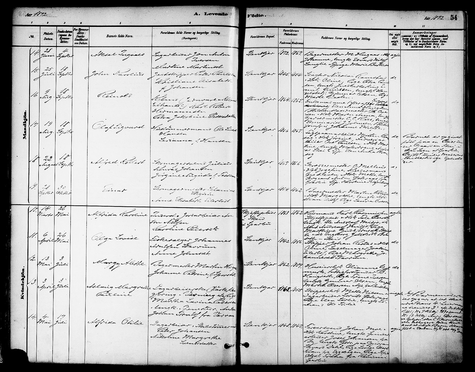 Ministerialprotokoller, klokkerbøker og fødselsregistre - Nord-Trøndelag, AV/SAT-A-1458/739/L0371: Parish register (official) no. 739A03, 1881-1895, p. 54