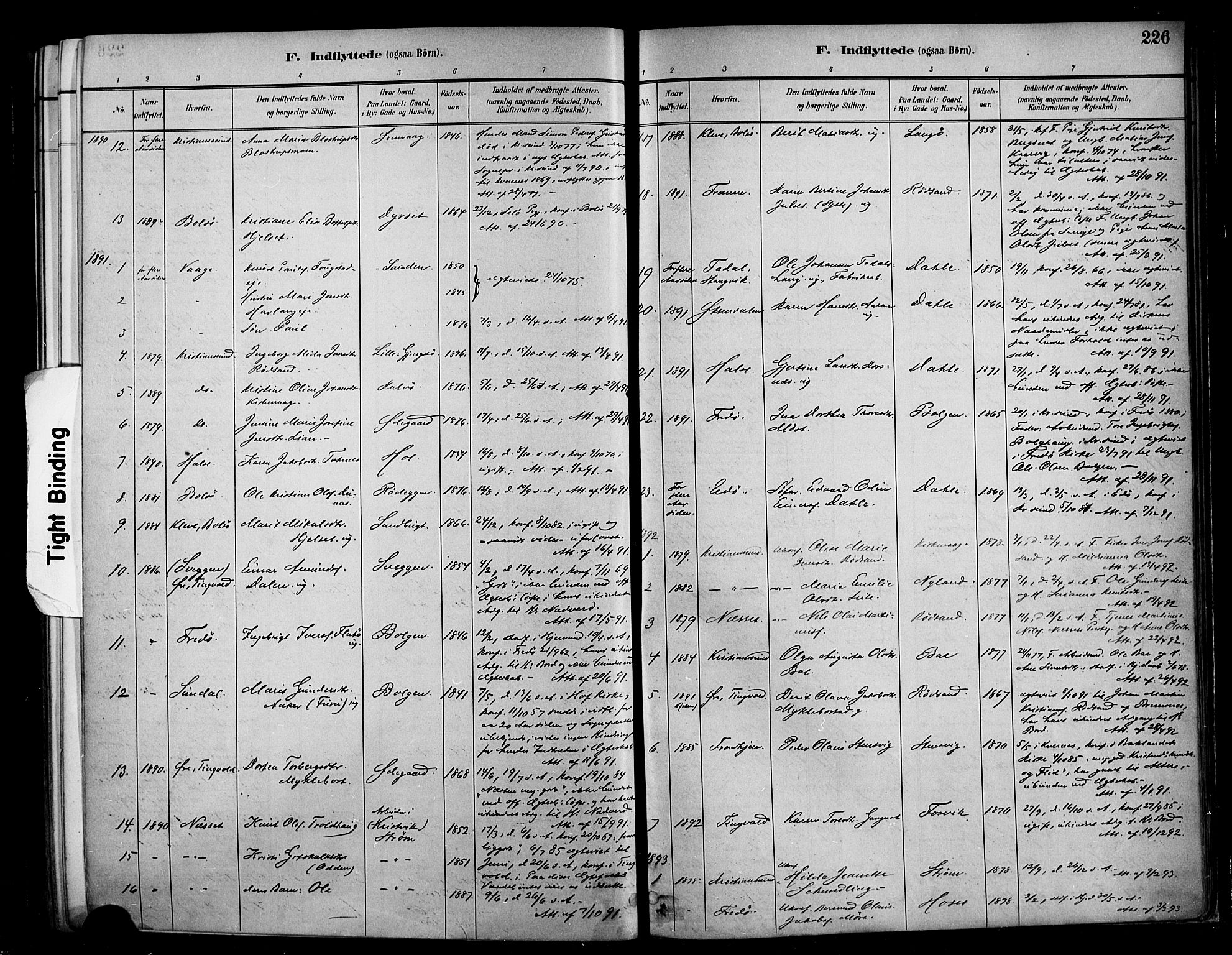 Ministerialprotokoller, klokkerbøker og fødselsregistre - Møre og Romsdal, SAT/A-1454/569/L0819: Parish register (official) no. 569A05, 1885-1899, p. 226