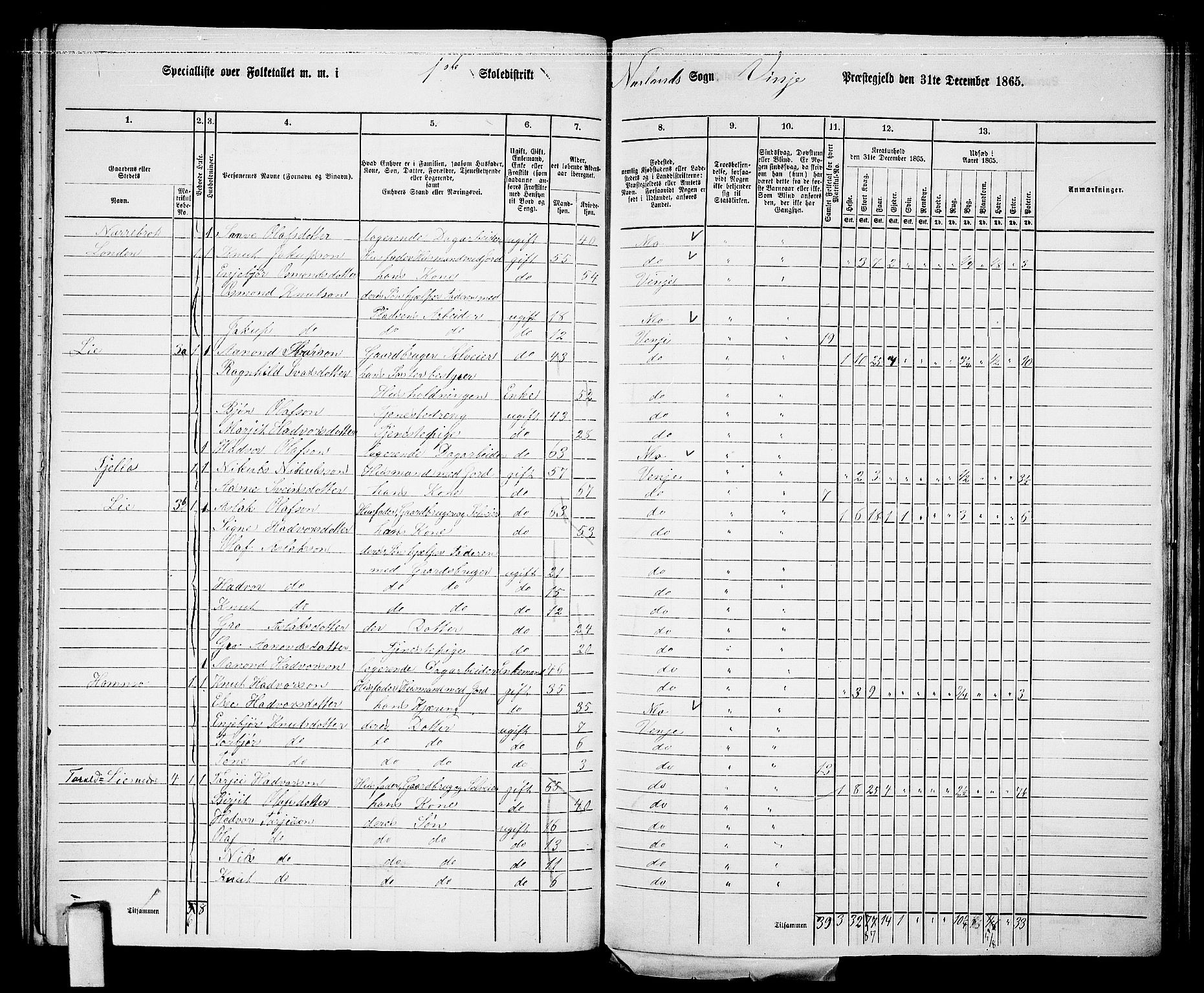 RA, 1865 census for Vinje, 1865, p. 7