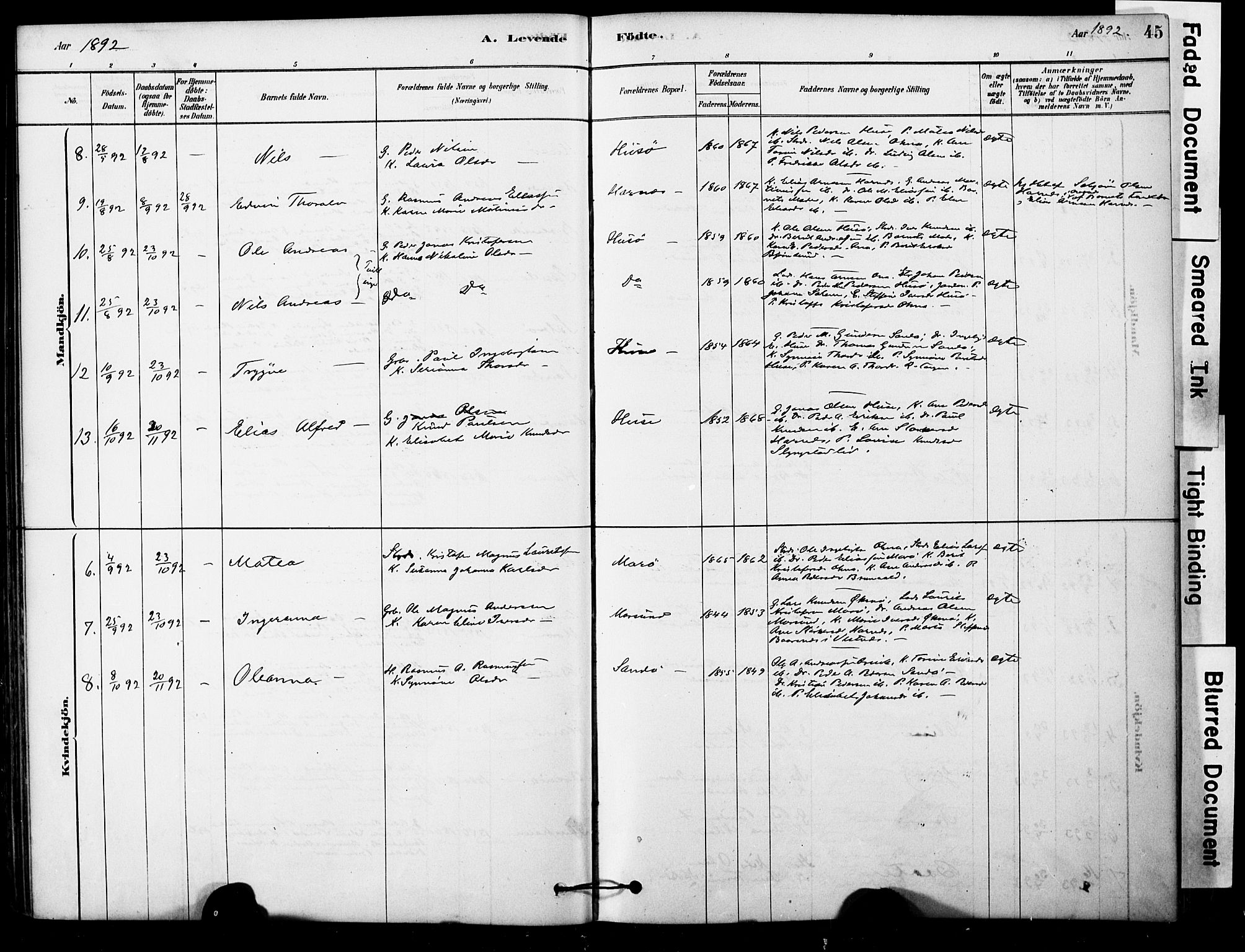 Ministerialprotokoller, klokkerbøker og fødselsregistre - Møre og Romsdal, AV/SAT-A-1454/561/L0729: Parish register (official) no. 561A03, 1878-1900, p. 45