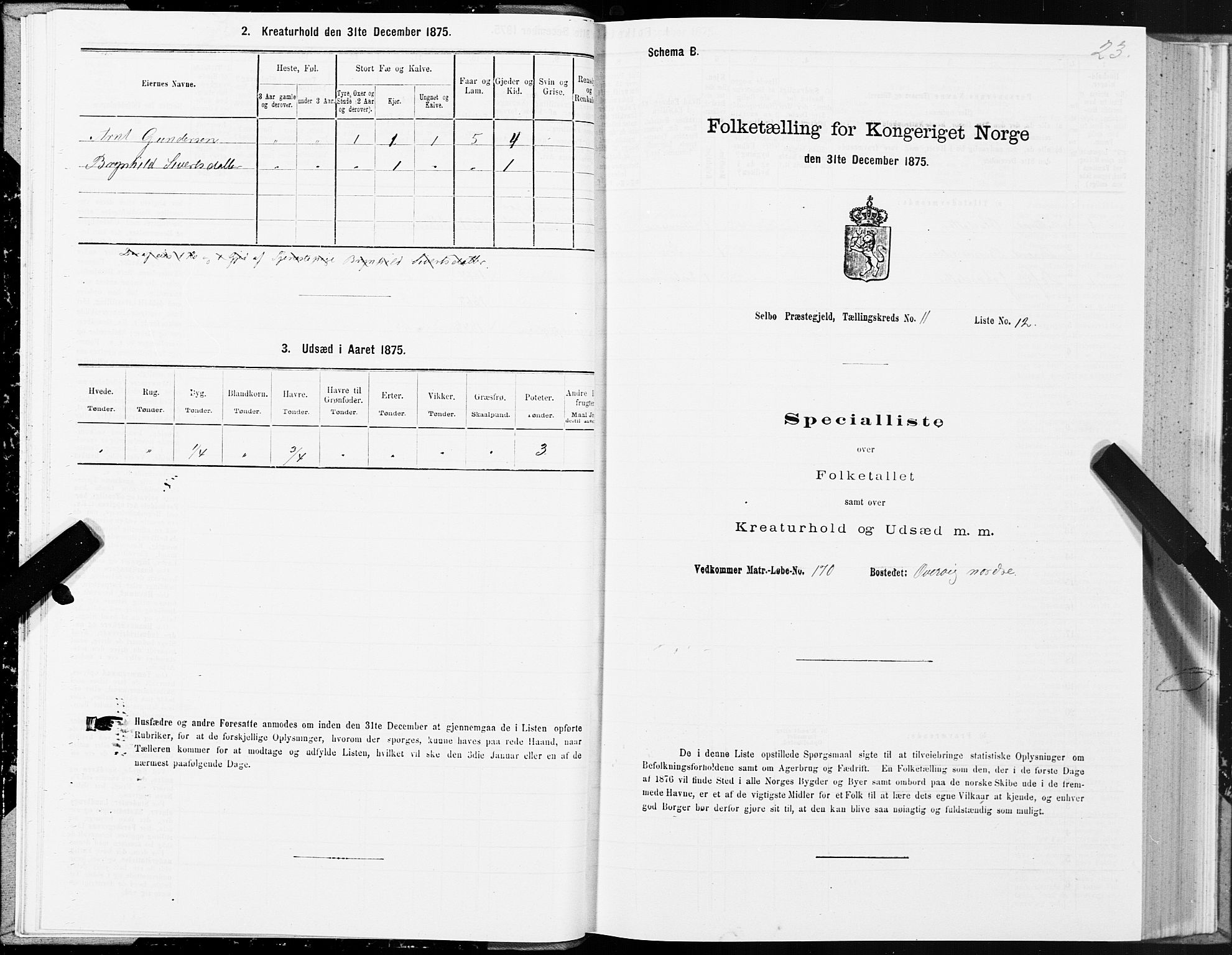 SAT, 1875 census for 1664P Selbu, 1875, p. 6023