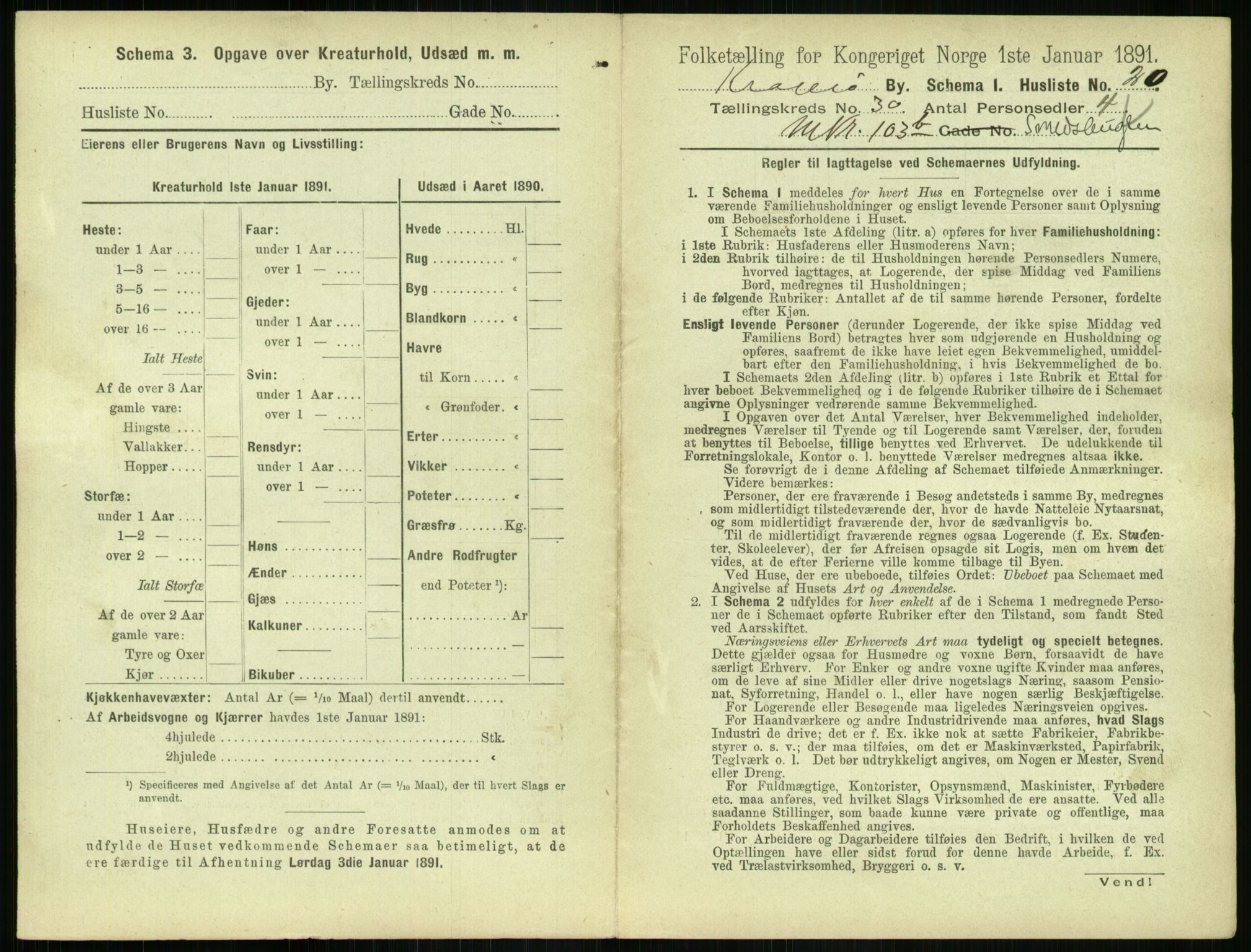 RA, 1891 census for 0801 Kragerø, 1891, p. 1106