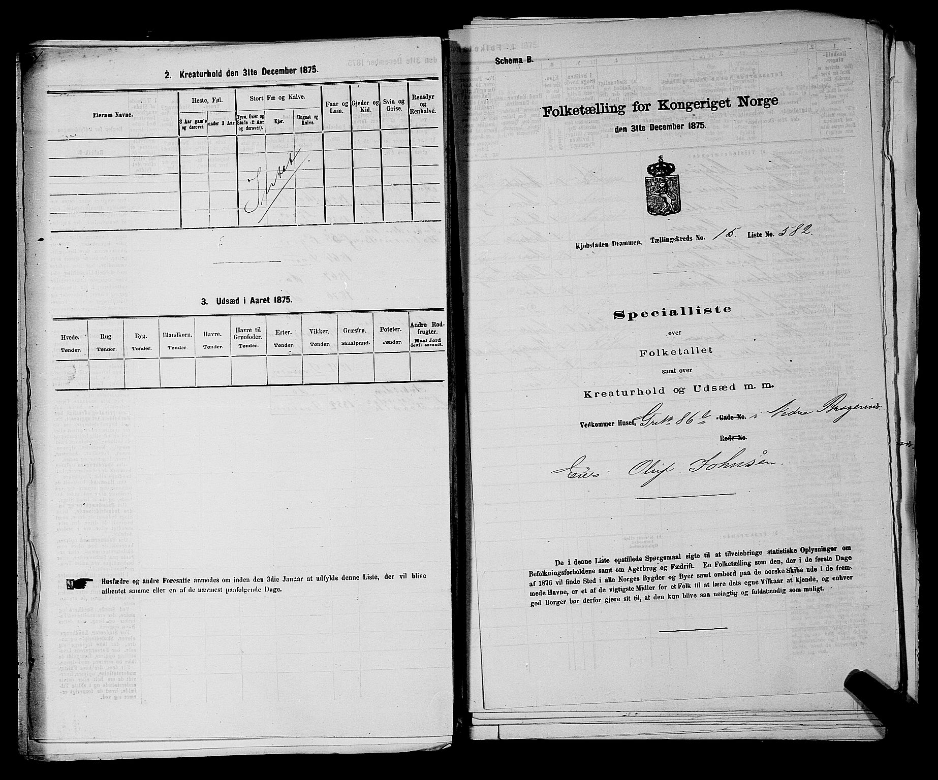 SAKO, 1875 census for 0602 Drammen, 1875, p. 1717