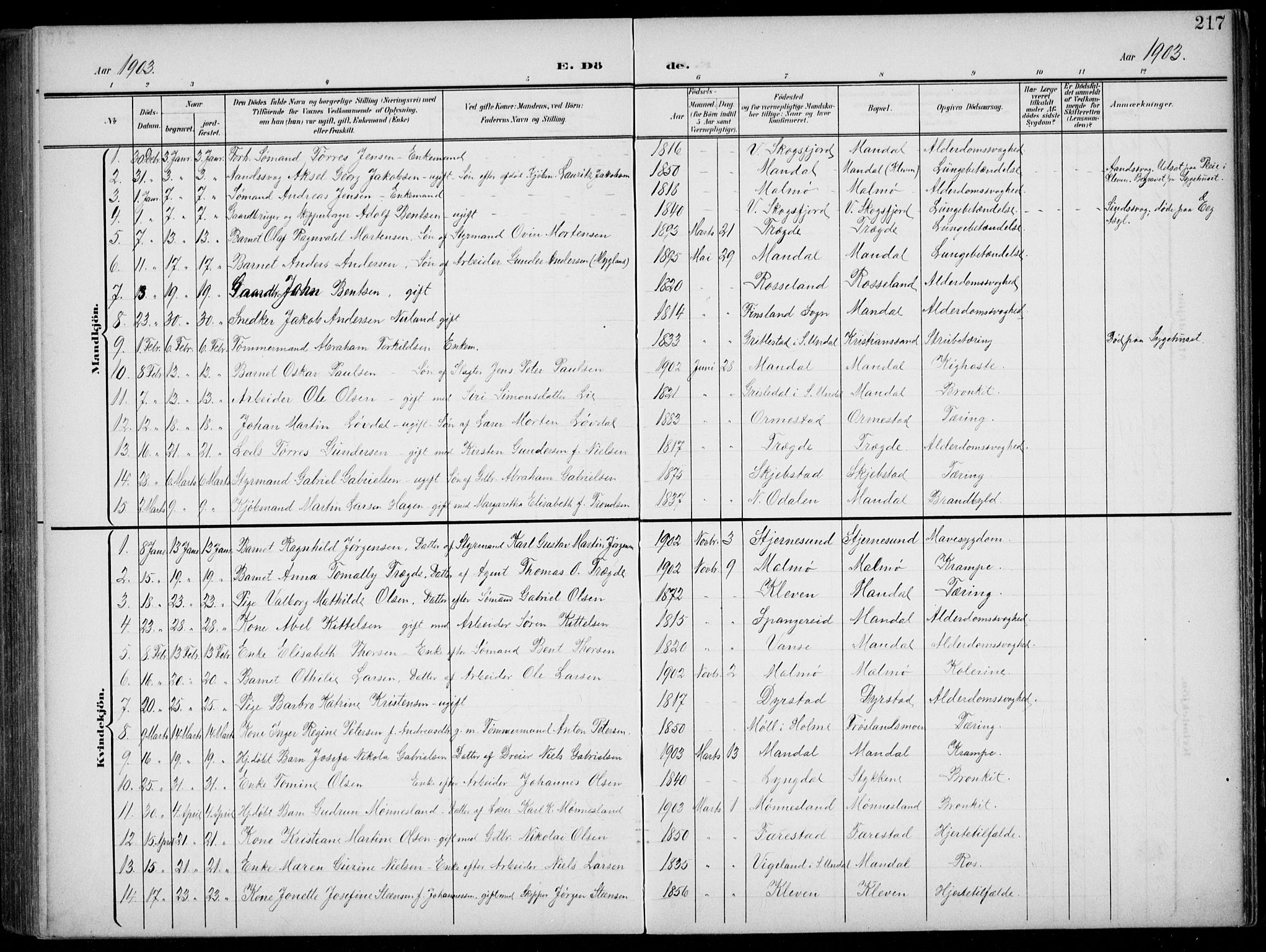 Mandal sokneprestkontor, AV/SAK-1111-0030/F/Fb/Fba/L0012: Parish register (copy) no. B 6, 1899-1918, p. 217