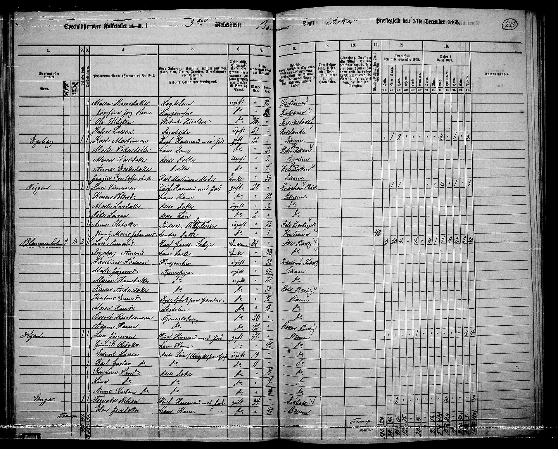 RA, 1865 census for Asker, 1865, p. 220