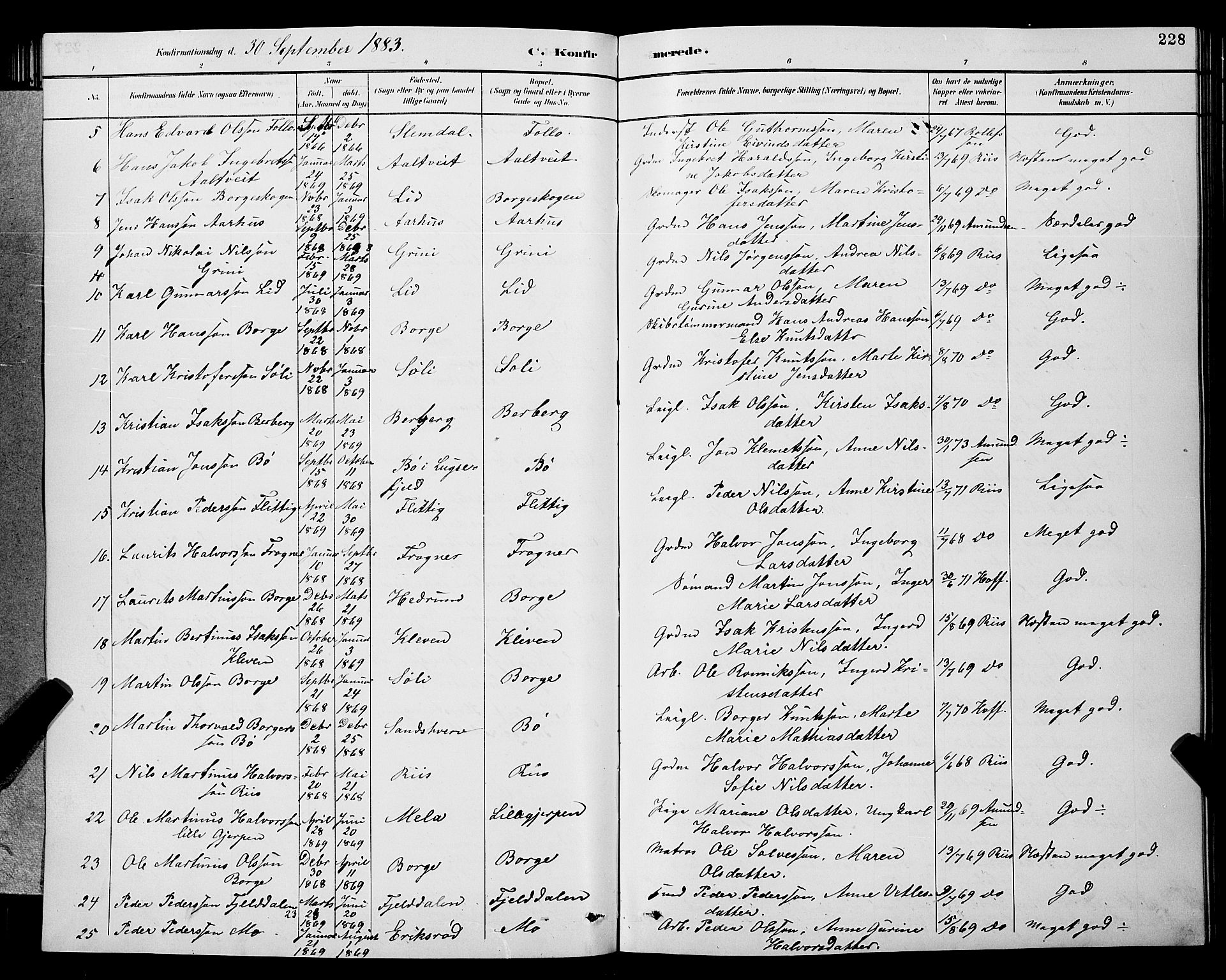 Gjerpen kirkebøker, SAKO/A-265/G/Ga/L0002: Parish register (copy) no. I 2, 1883-1900, p. 228