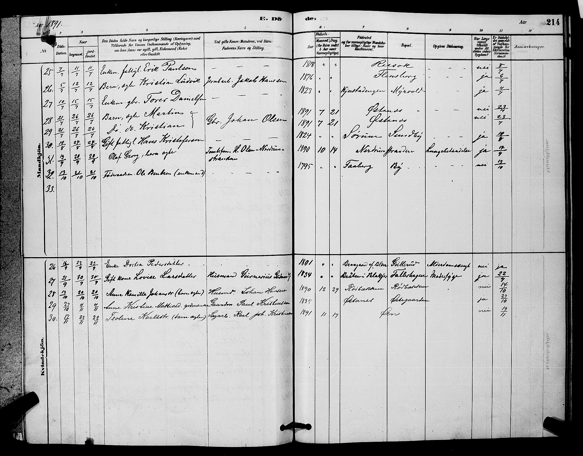 Fet prestekontor Kirkebøker, AV/SAO-A-10370a/G/Ga/L0006: Parish register (copy) no. I 6, 1878-1891, p. 214