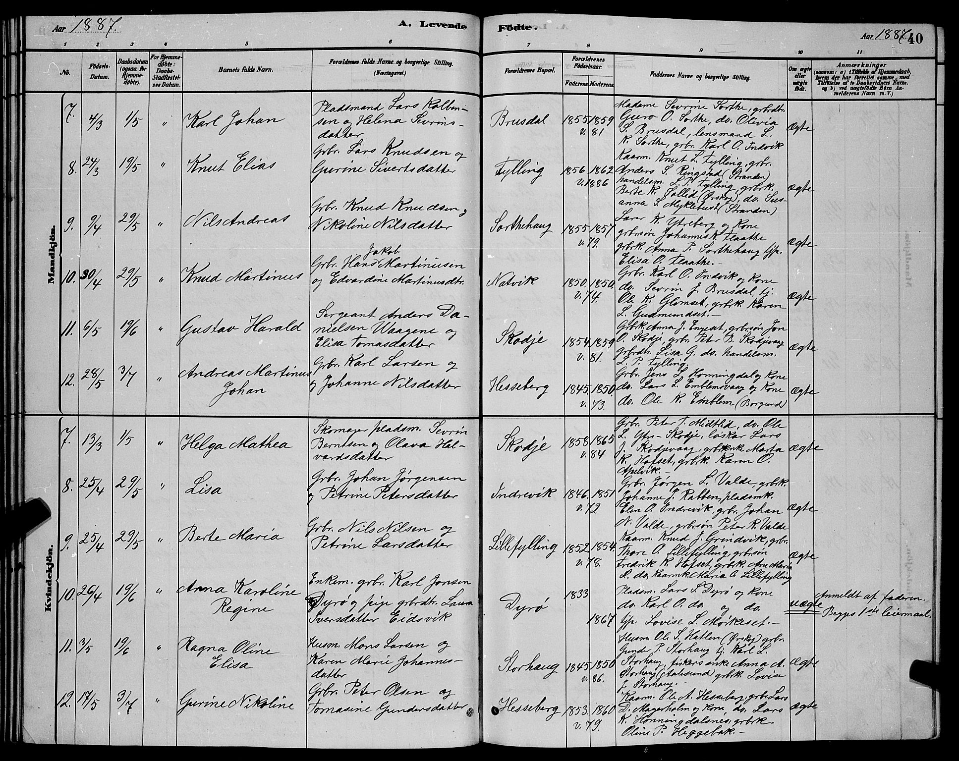 Ministerialprotokoller, klokkerbøker og fødselsregistre - Møre og Romsdal, AV/SAT-A-1454/524/L0365: Parish register (copy) no. 524C06, 1880-1899, p. 40