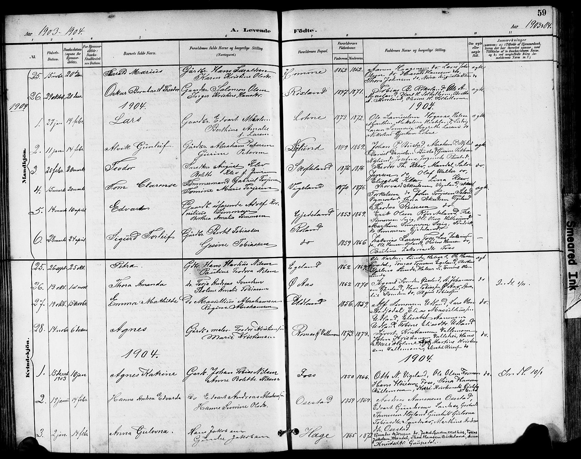 Sør-Audnedal sokneprestkontor, AV/SAK-1111-0039/F/Fb/Fbb/L0006: Parish register (copy) no. B 6, 1893-1915, p. 59