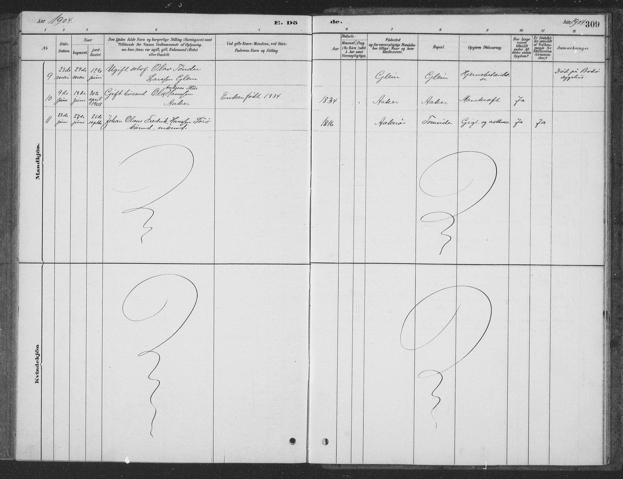 Ministerialprotokoller, klokkerbøker og fødselsregistre - Nordland, AV/SAT-A-1459/835/L0532: Parish register (copy) no. 835C04, 1880-1905, p. 309