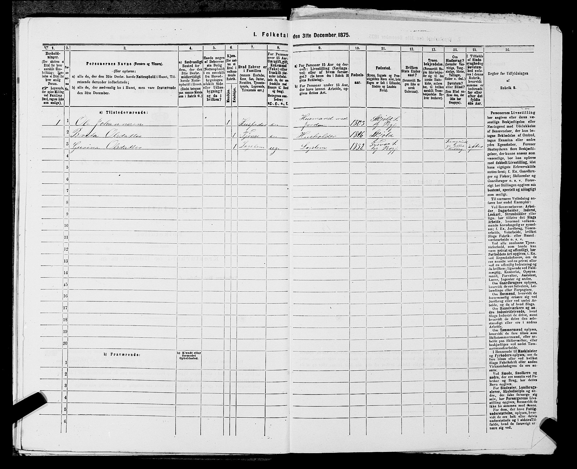 SAST, 1875 census for 1154P Skjold, 1875, p. 273