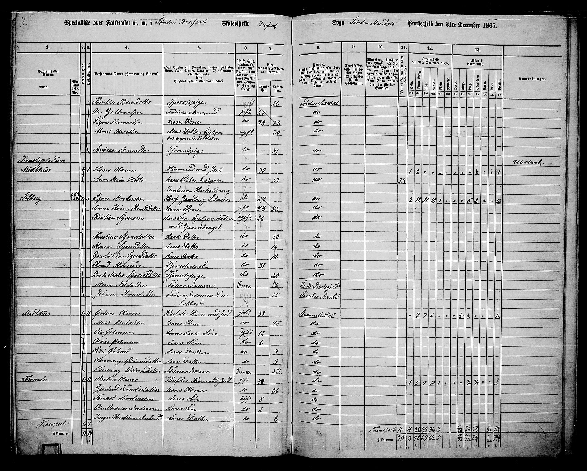 RA, 1865 census for Sør-Aurdal, 1865, p. 237