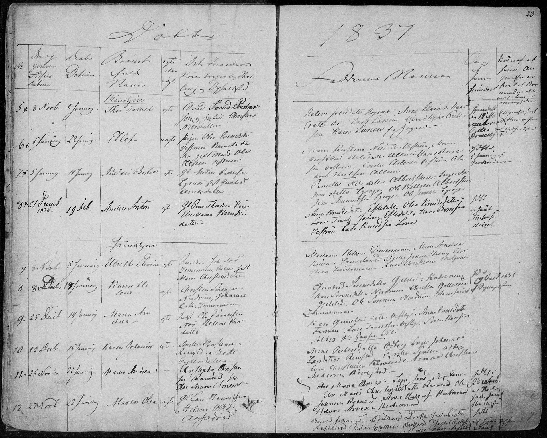 Hedrum kirkebøker, AV/SAKO-A-344/F/Fa/L0005: Parish register (official) no. I 5, 1835-1848, p. 23