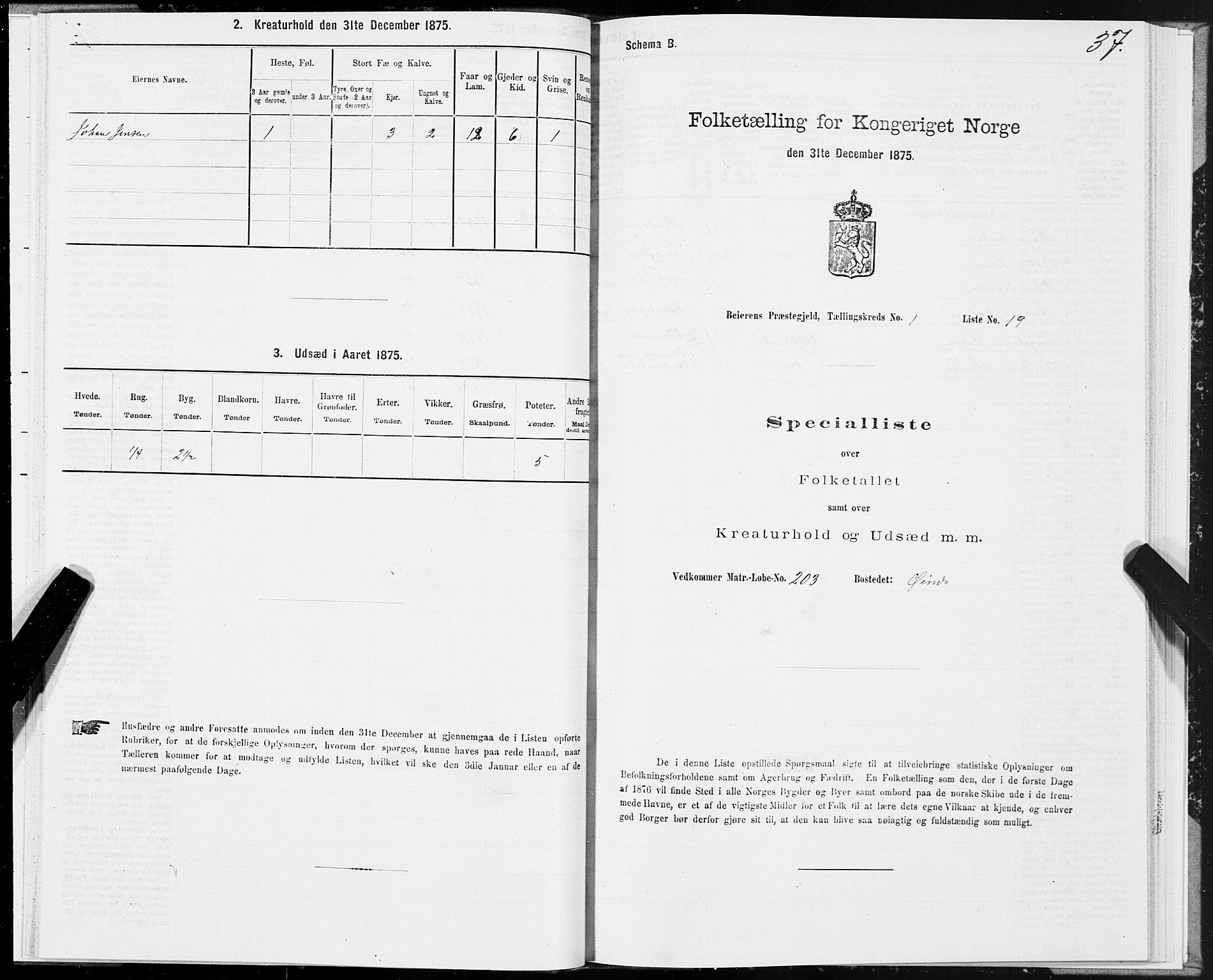 SAT, 1875 census for 1839P Beiarn, 1875, p. 1037