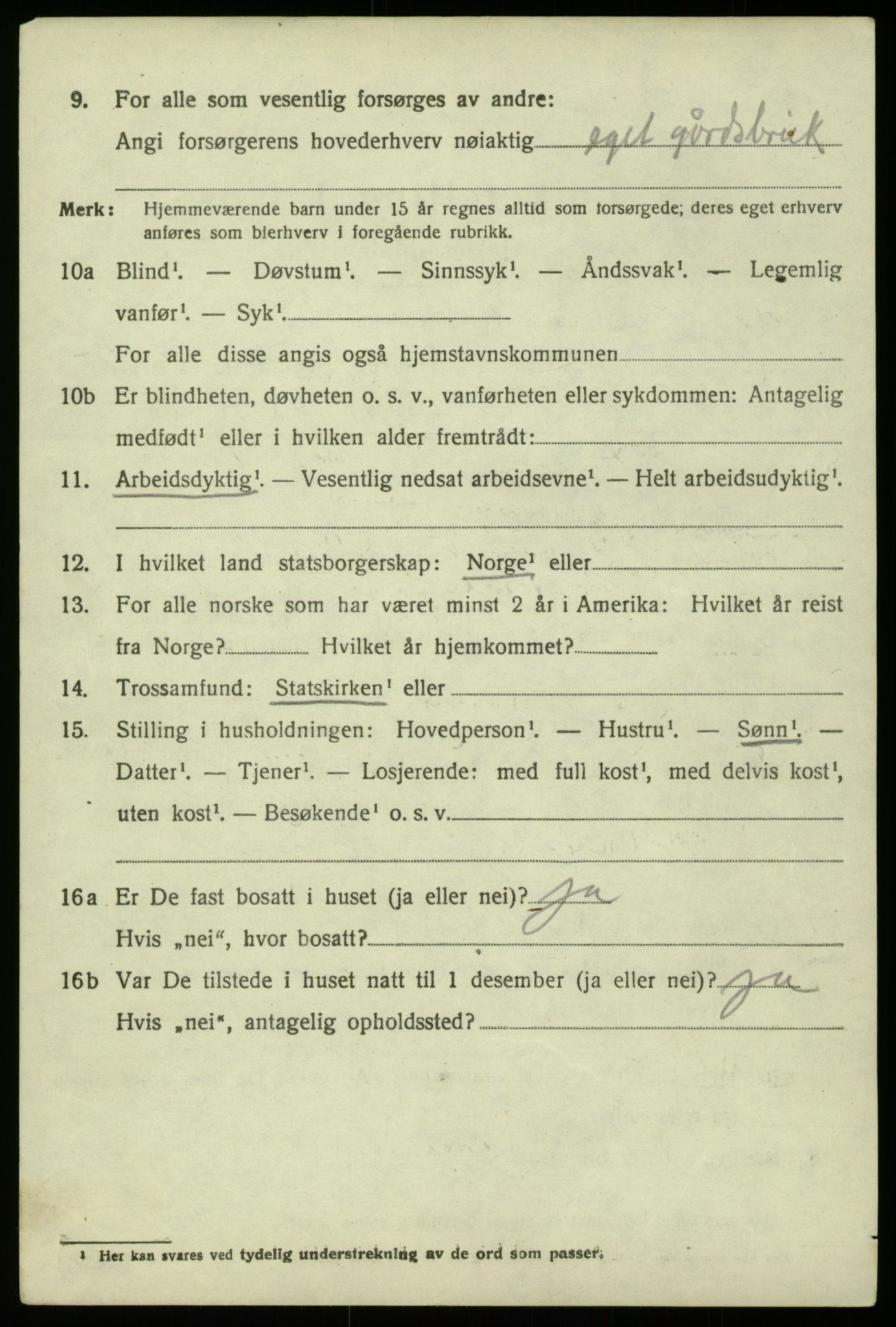 SAB, 1920 census for Hosanger, 1920, p. 5424