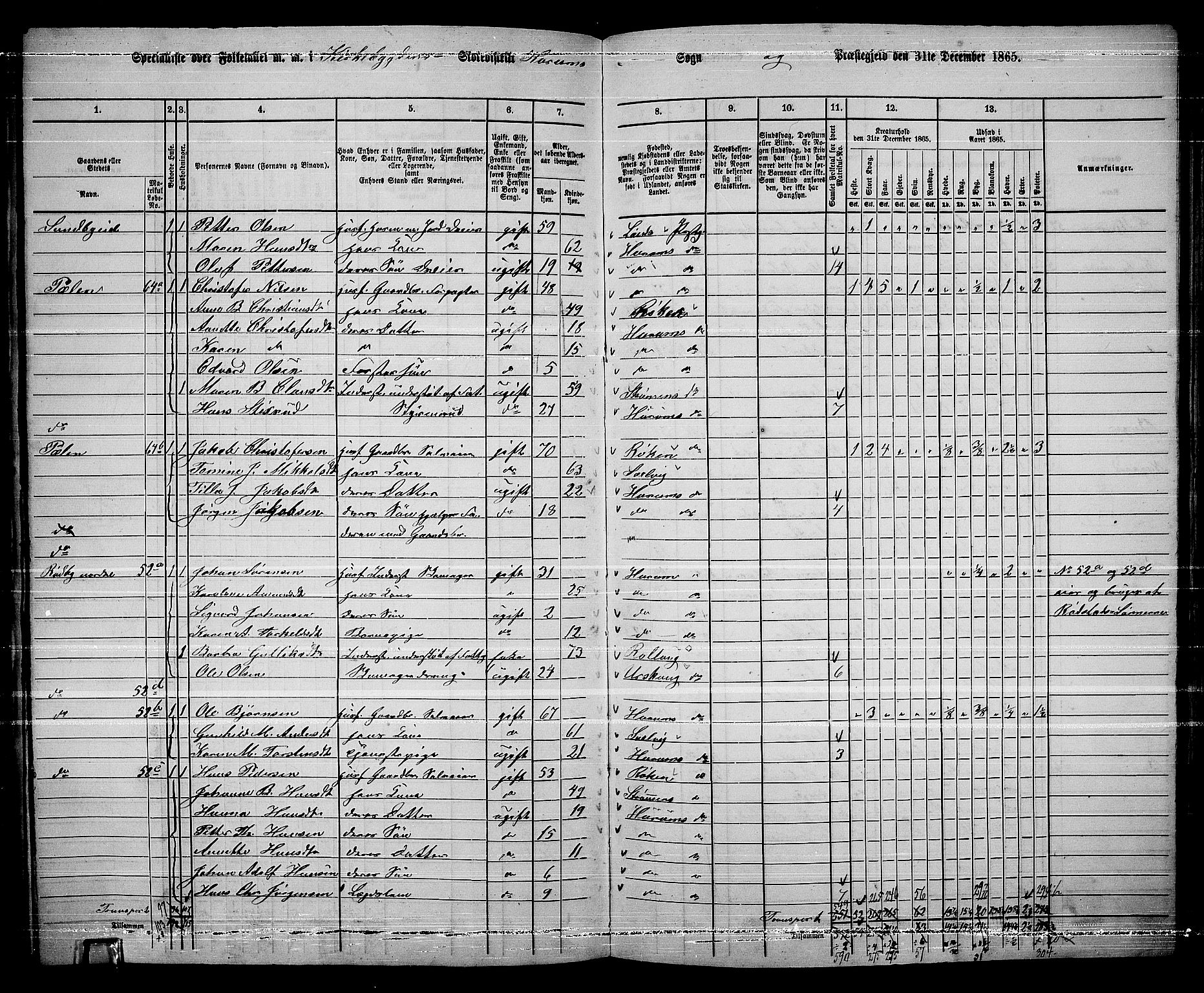 RA, 1865 census for Hurum, 1865, p. 25