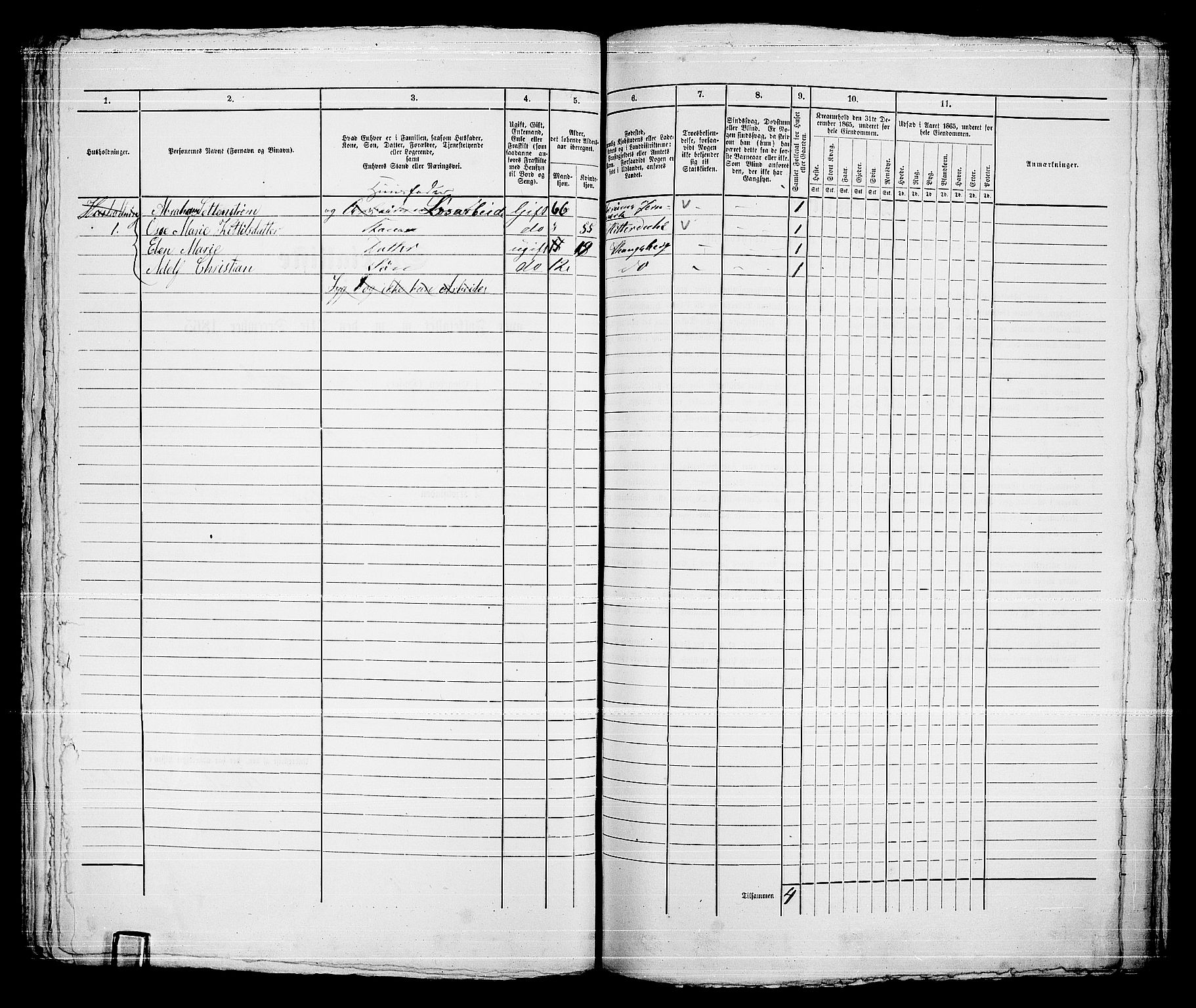RA, 1865 census for Kongsberg/Kongsberg, 1865, p. 1213