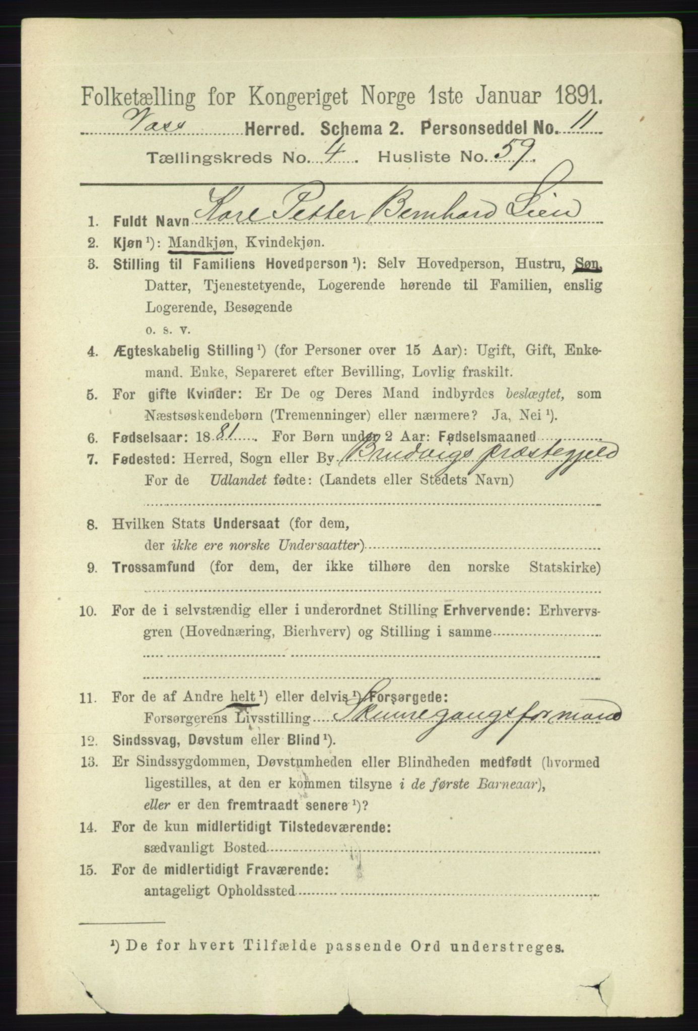 RA, 1891 census for 1235 Voss, 1891, p. 2038