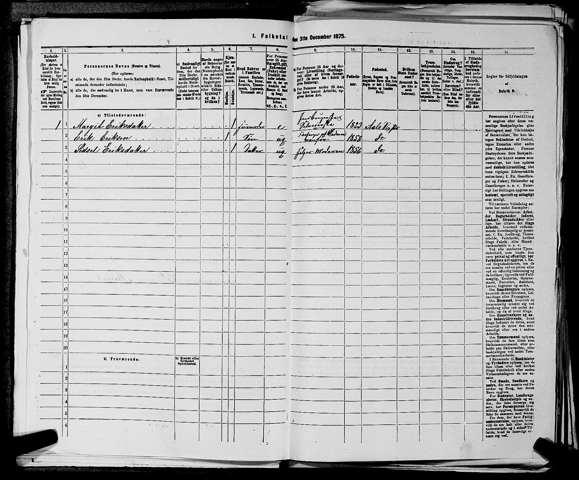 SAKO, 1875 census for 0619P Ål, 1875, p. 342
