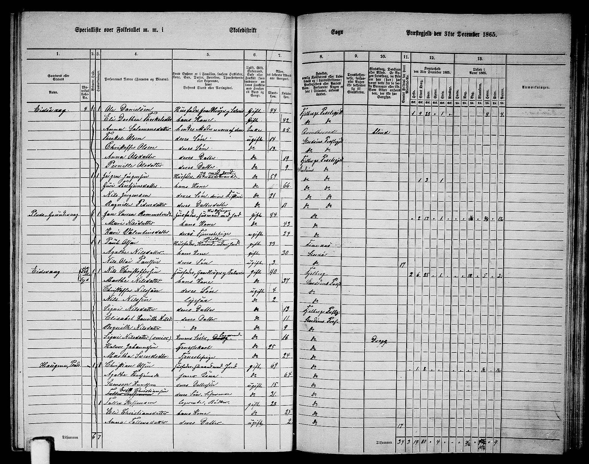 RA, 1865 census for Stord, 1865, p. 96