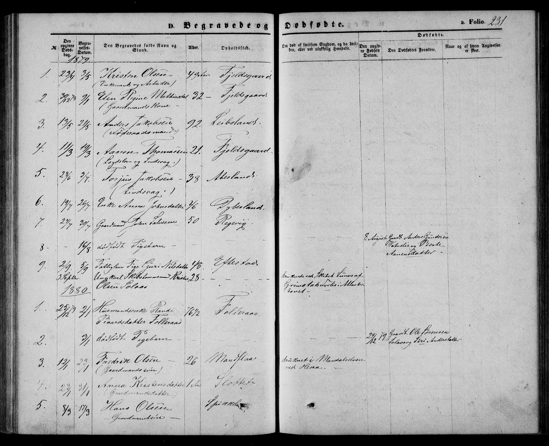 Bjelland sokneprestkontor, AV/SAK-1111-0005/F/Fb/Fbb/L0004: Parish register (copy) no. B 4, 1867-1887, p. 231