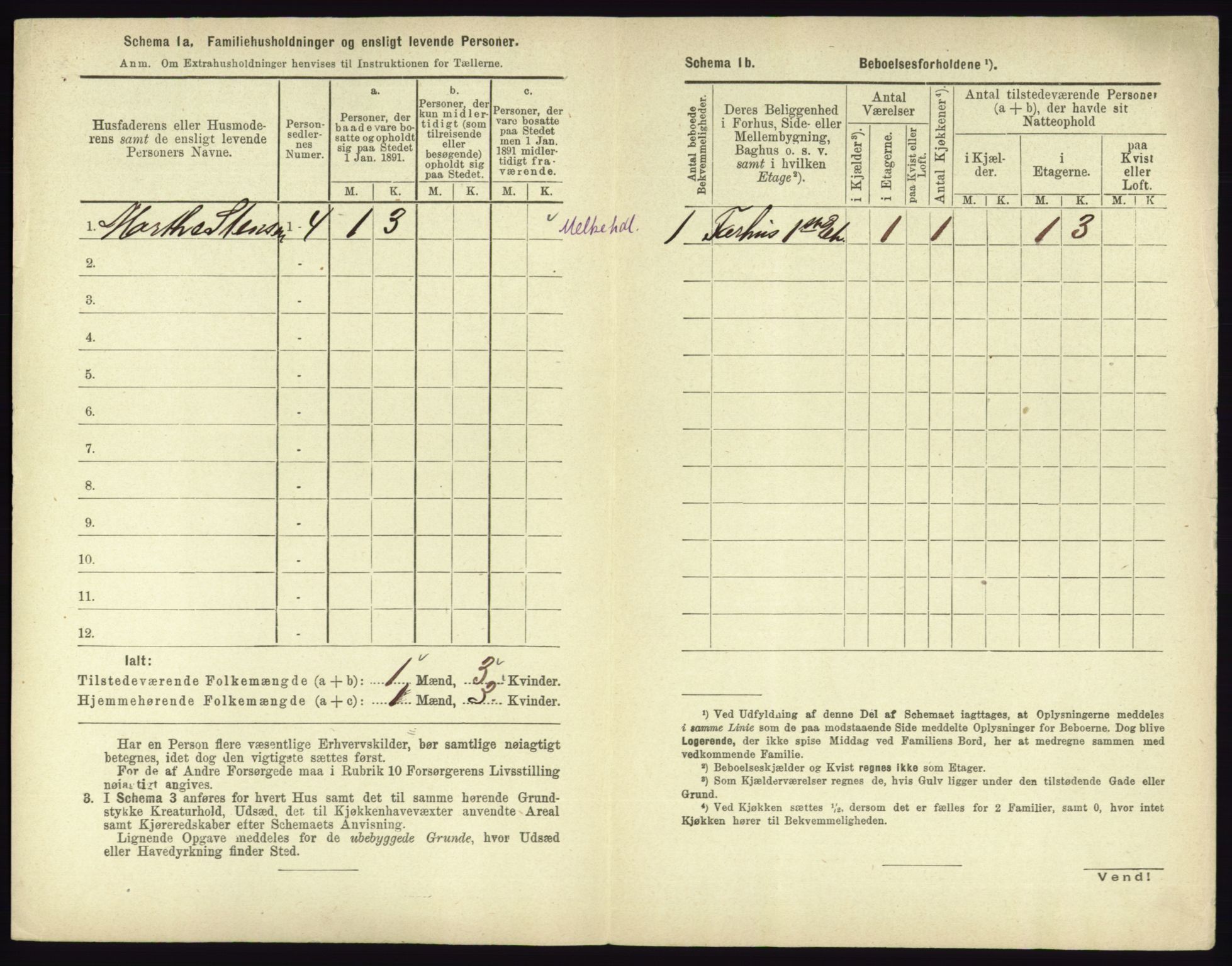 RA, 1891 census for 0602 Drammen, 1891, p. 3366