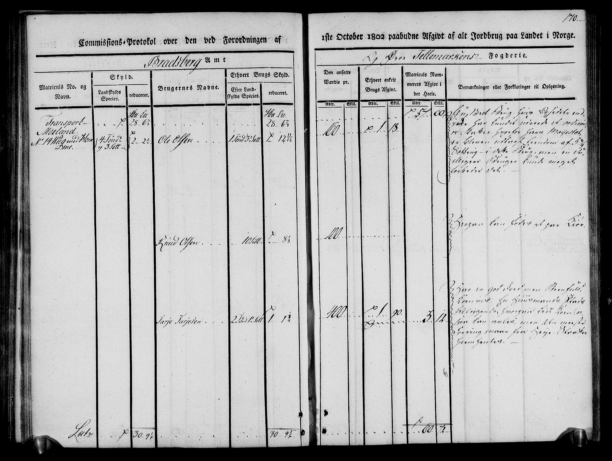 Rentekammeret inntil 1814, Realistisk ordnet avdeling, AV/RA-EA-4070/N/Ne/Nea/L0075: Øvre Telemarken fogderi. Kommisjonsprotokoll for fogderiets vestre del - Kviteseid, Vinje, Moland [):Fyresdal] og Lårdal prestegjeld., 1803, p. 172