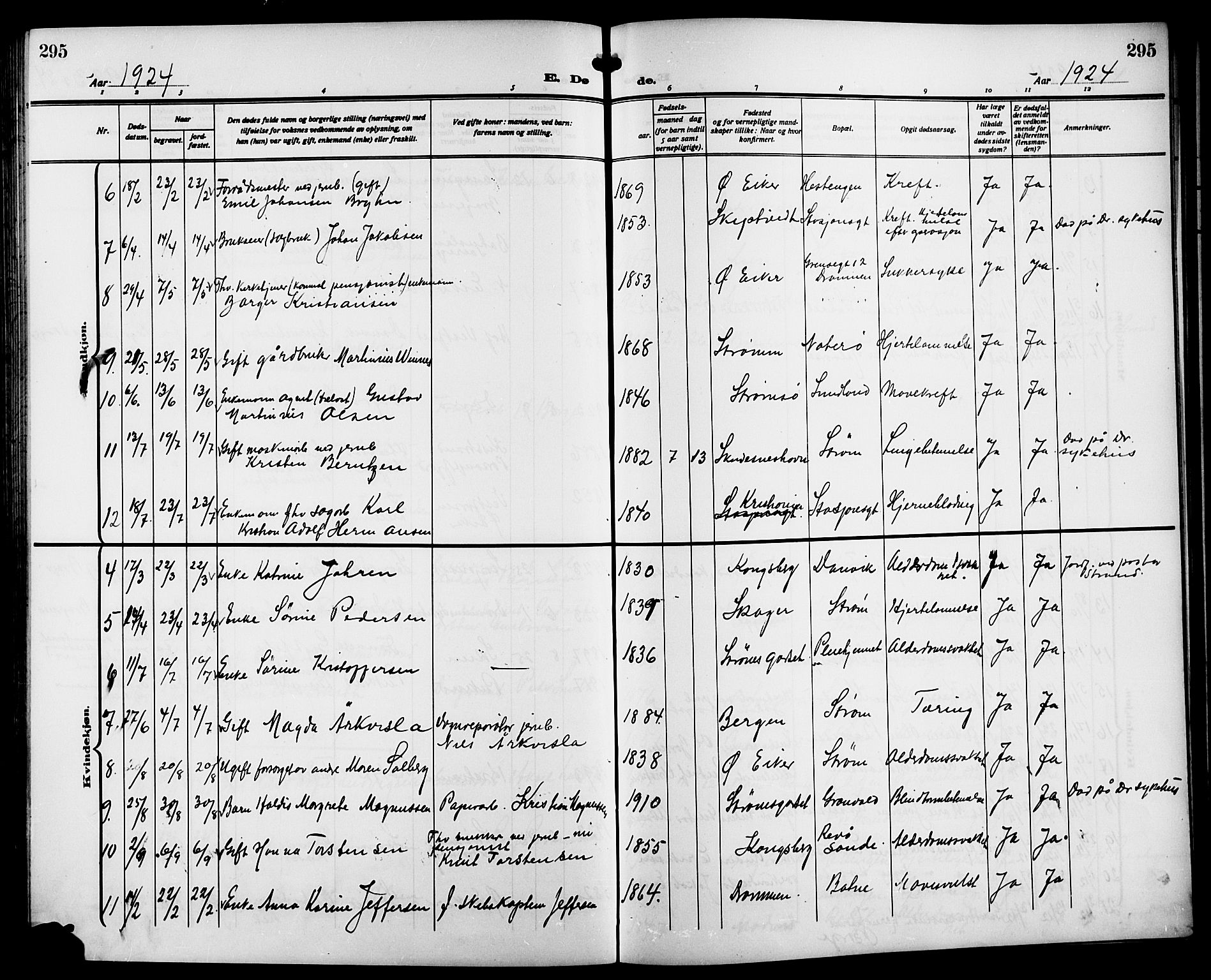 Strømsgodset kirkebøker, AV/SAKO-A-324/G/Ga/L0003: Parish register (copy) no. 3, 1911-1926, p. 295