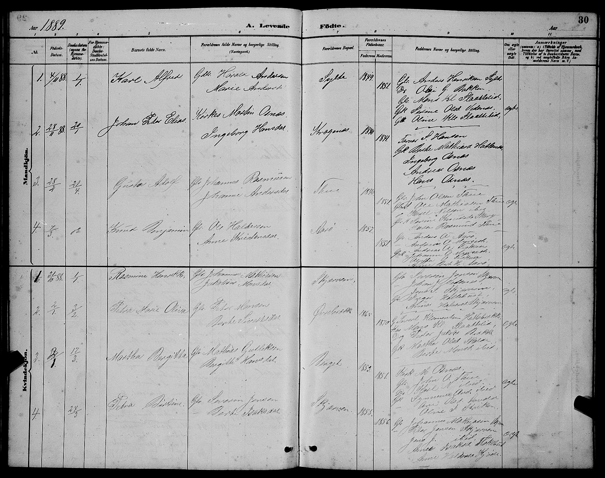 Ministerialprotokoller, klokkerbøker og fødselsregistre - Møre og Romsdal, AV/SAT-A-1454/501/L0017: Parish register (copy) no. 501C03, 1885-1901, p. 30