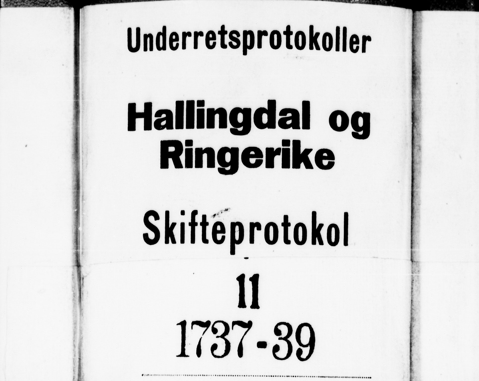 Ringerike og Hallingdal sorenskriveri, AV/SAKO-A-81/H/Ha/L0010: Skifteprotokoll, 1734-1737