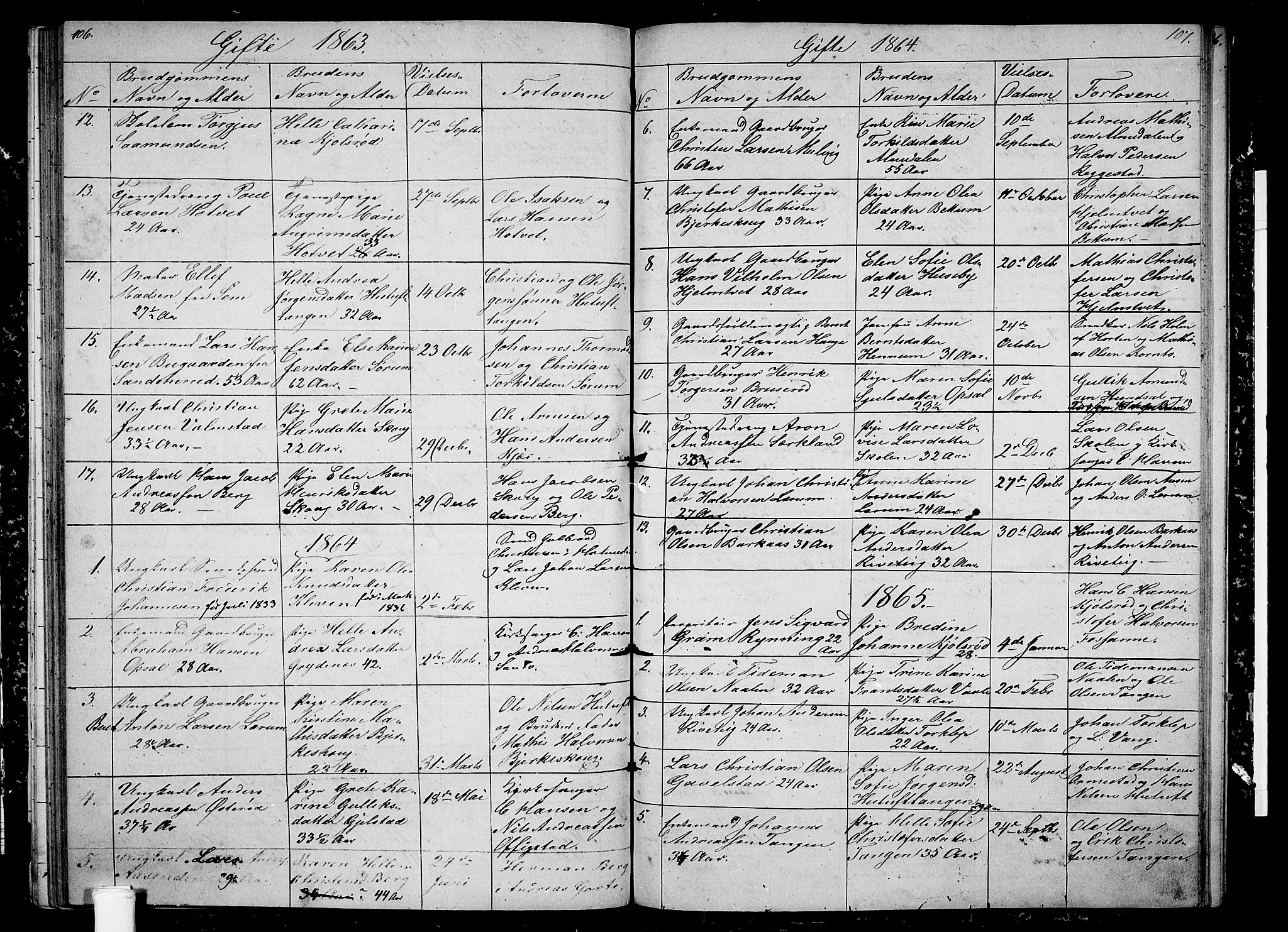 Våle kirkebøker, AV/SAKO-A-334/G/Ga/L0003: Parish register (copy) no. I 3, 1863-1874, p. 106-107