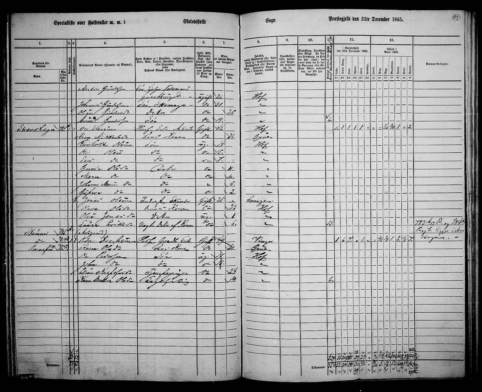 RA, 1865 census for Hof, 1865, p. 89
