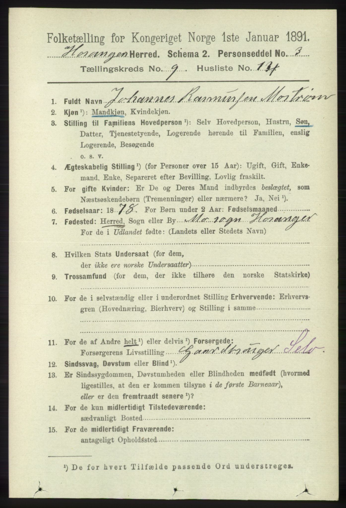 RA, 1891 census for 1253 Hosanger, 1891, p. 3374