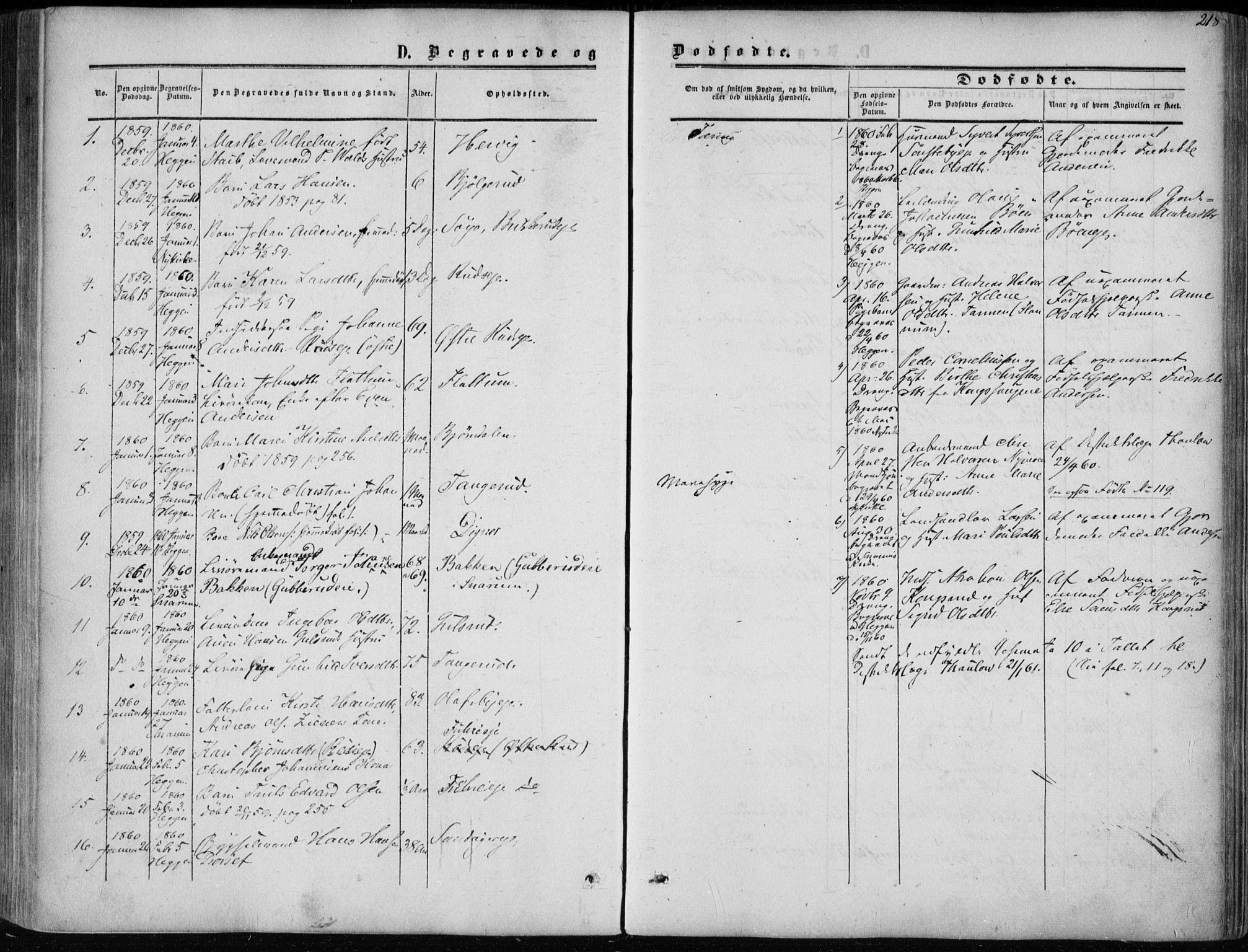 Modum kirkebøker, AV/SAKO-A-234/F/Fa/L0009: Parish register (official) no. 9, 1860-1864, p. 218
