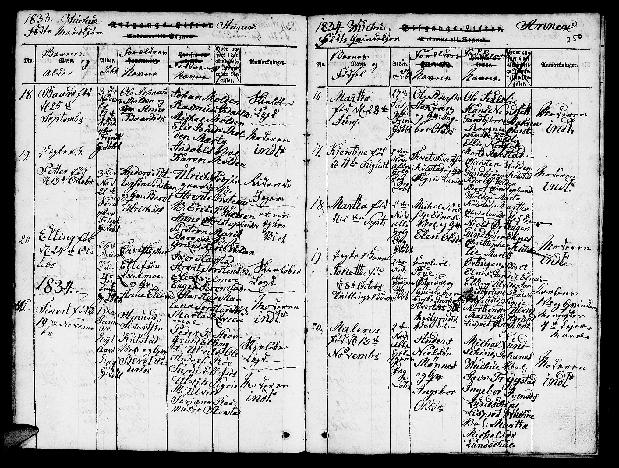 Ministerialprotokoller, klokkerbøker og fødselsregistre - Nord-Trøndelag, SAT/A-1458/724/L0265: Parish register (copy) no. 724C01, 1816-1845, p. 250