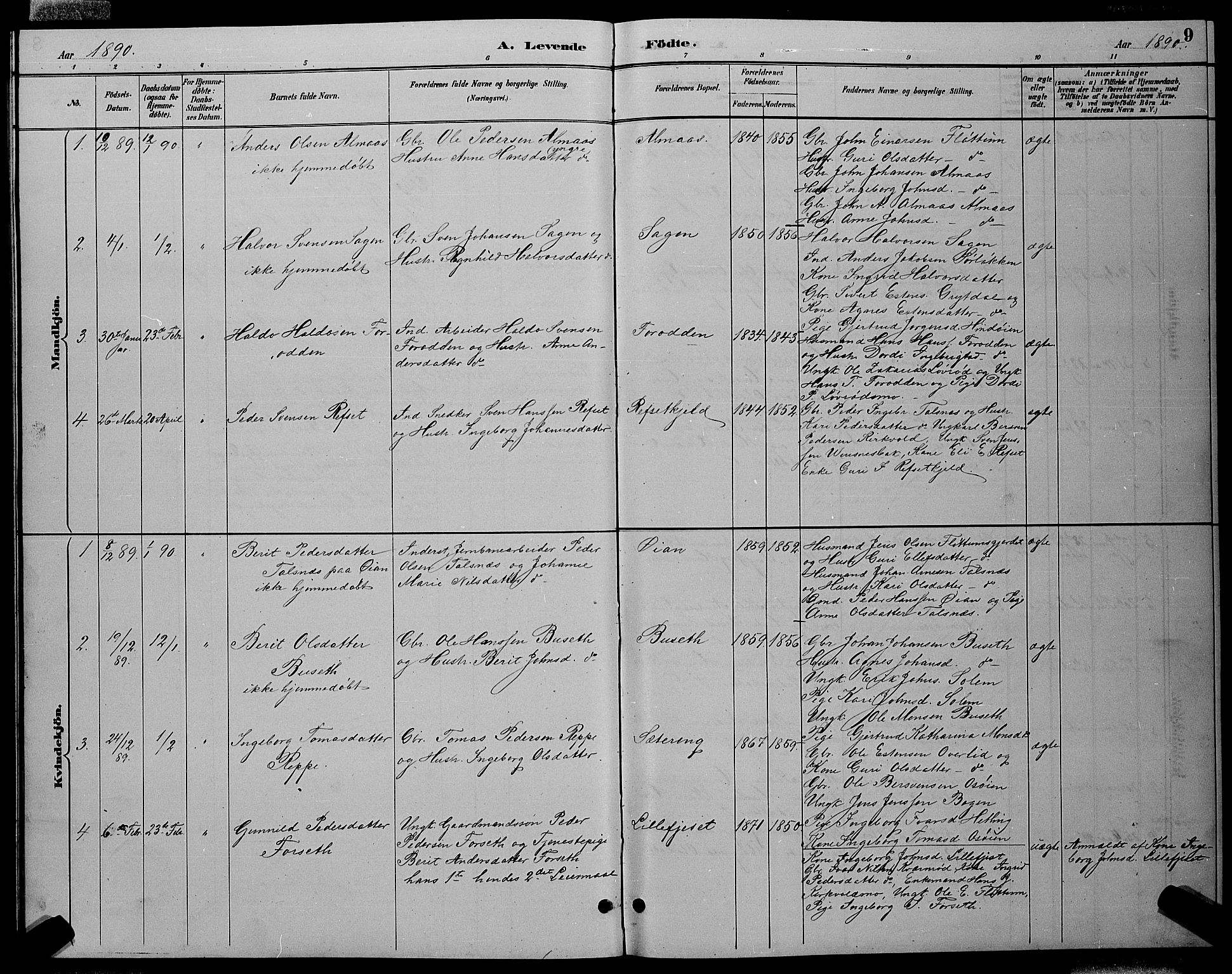 Ministerialprotokoller, klokkerbøker og fødselsregistre - Sør-Trøndelag, SAT/A-1456/688/L1028: Parish register (copy) no. 688C03, 1889-1899, p. 9