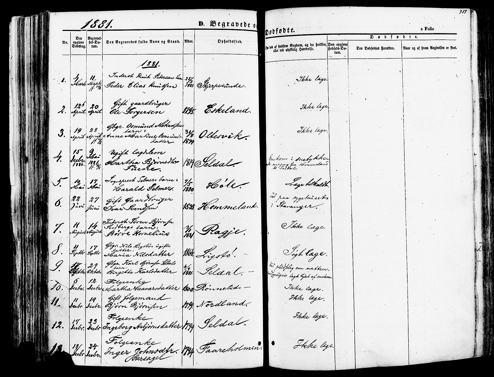Høgsfjord sokneprestkontor, SAST/A-101624/H/Ha/Haa/L0002: Parish register (official) no. A 2, 1855-1885, p. 313