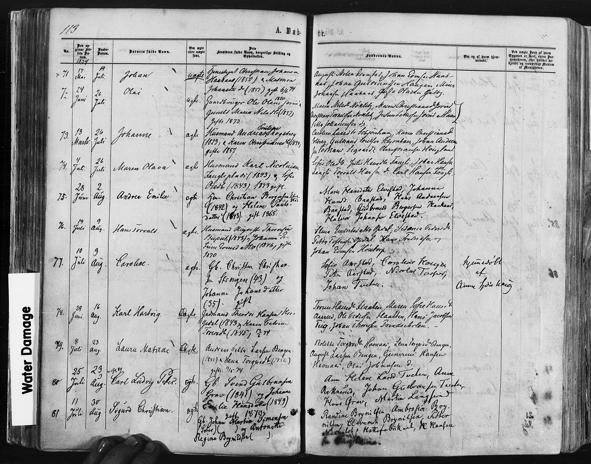 Trøgstad prestekontor Kirkebøker, AV/SAO-A-10925/F/Fa/L0009: Parish register (official) no. I 9, 1865-1877, p. 113