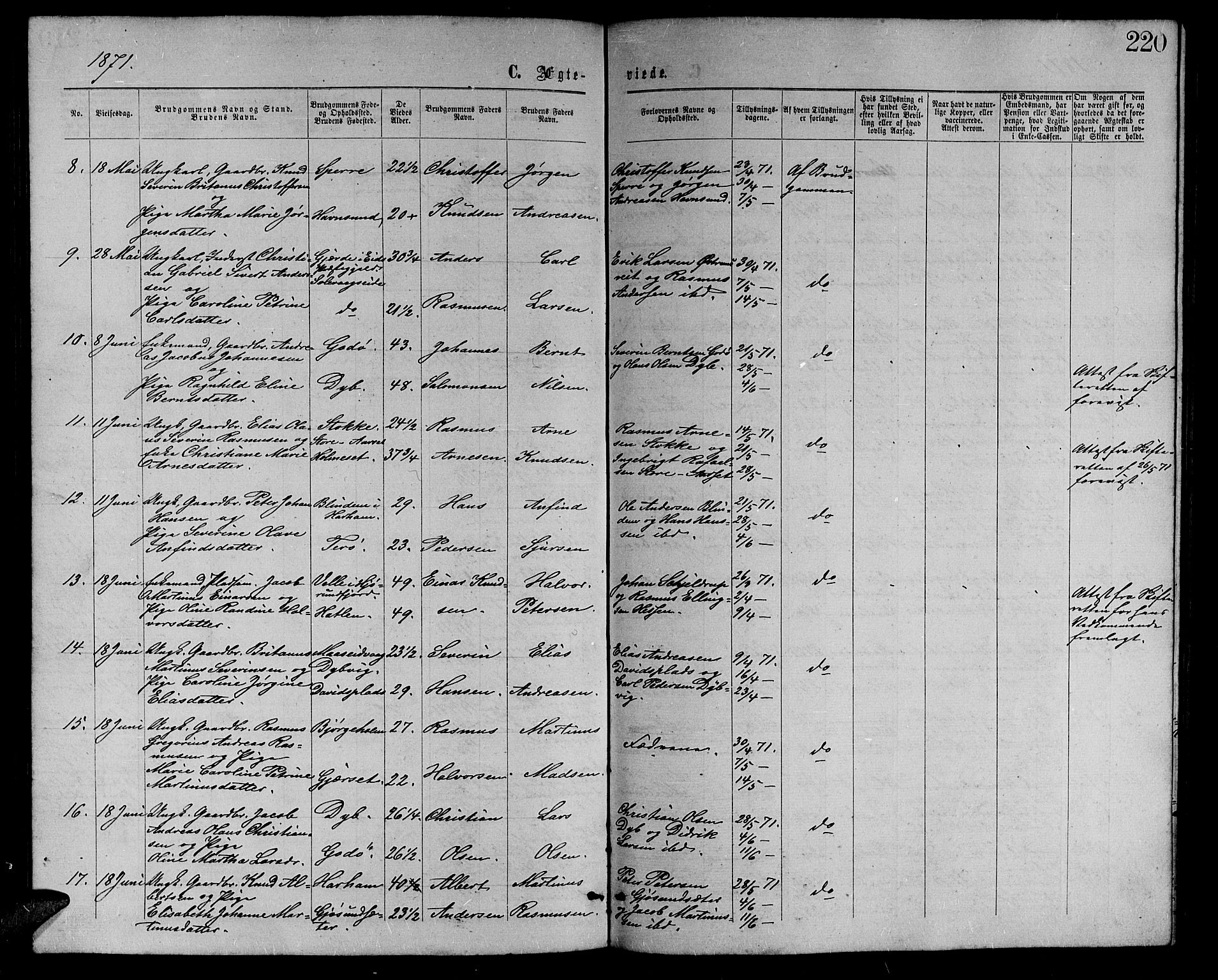 Ministerialprotokoller, klokkerbøker og fødselsregistre - Møre og Romsdal, AV/SAT-A-1454/528/L0428: Parish register (copy) no. 528C09, 1864-1880, p. 220