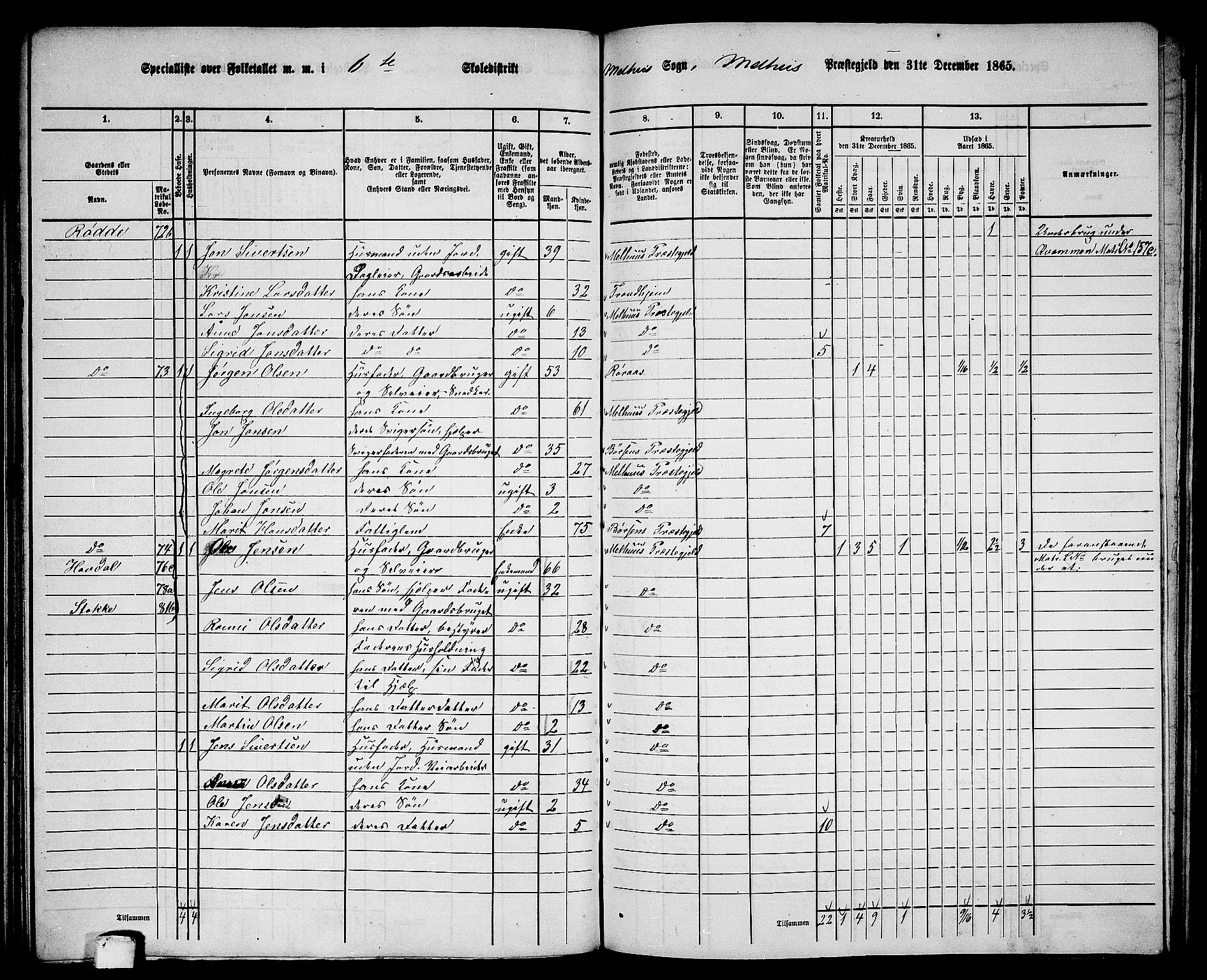 RA, 1865 census for Melhus, 1865, p. 124